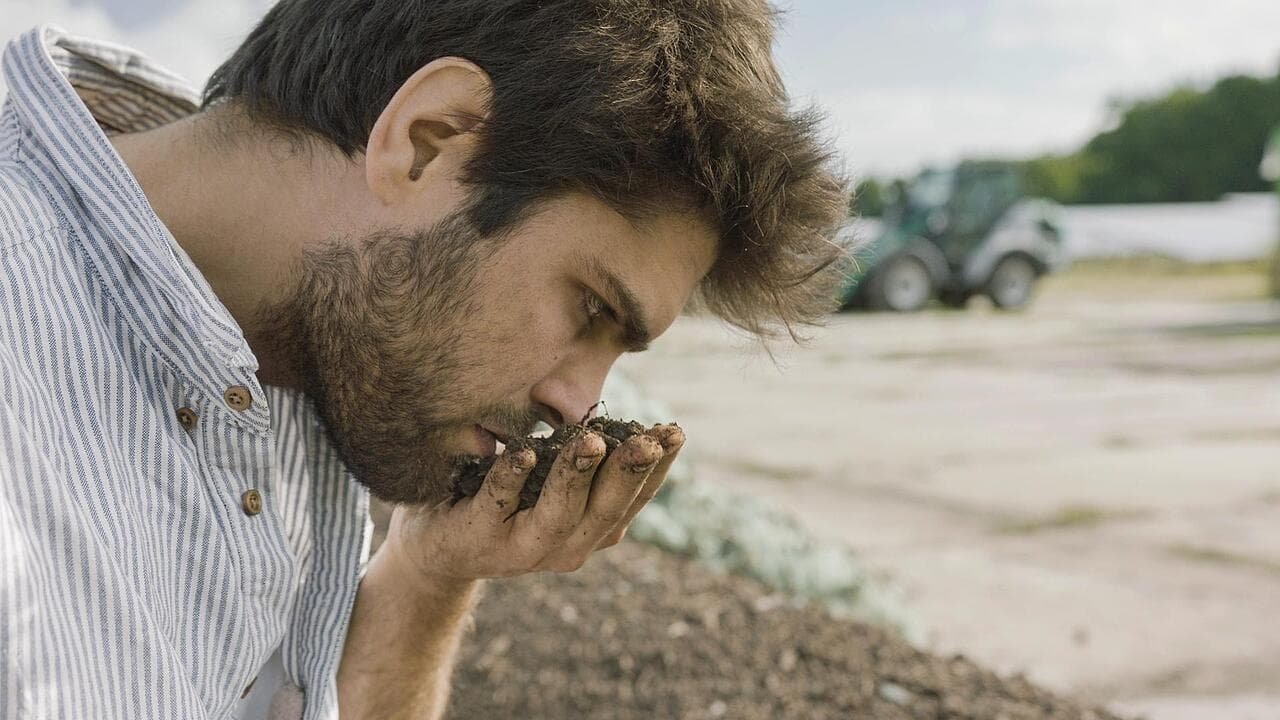 Backdrop for Holy Shit