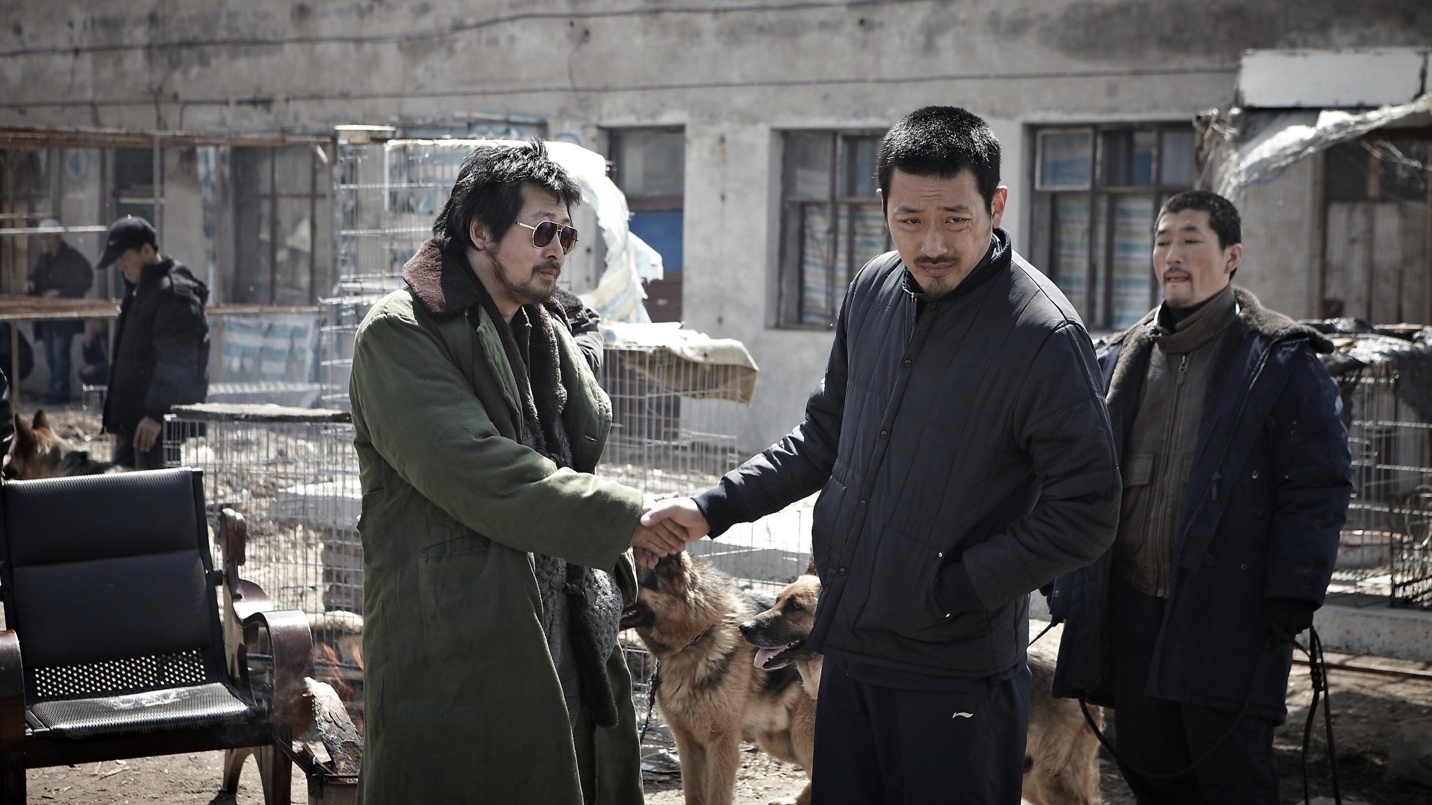 Backdrop for The Yellow Sea