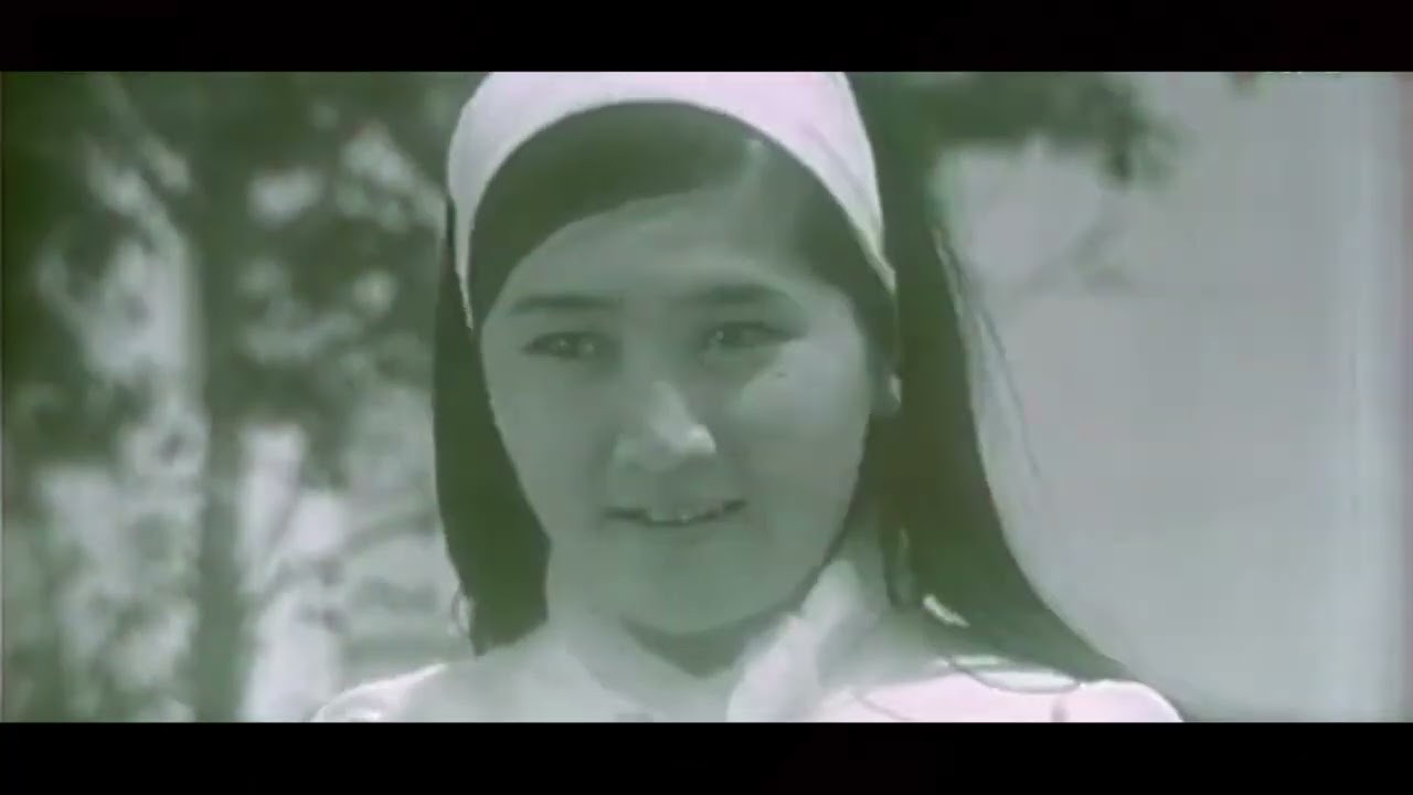 Backdrop for Blue mountains