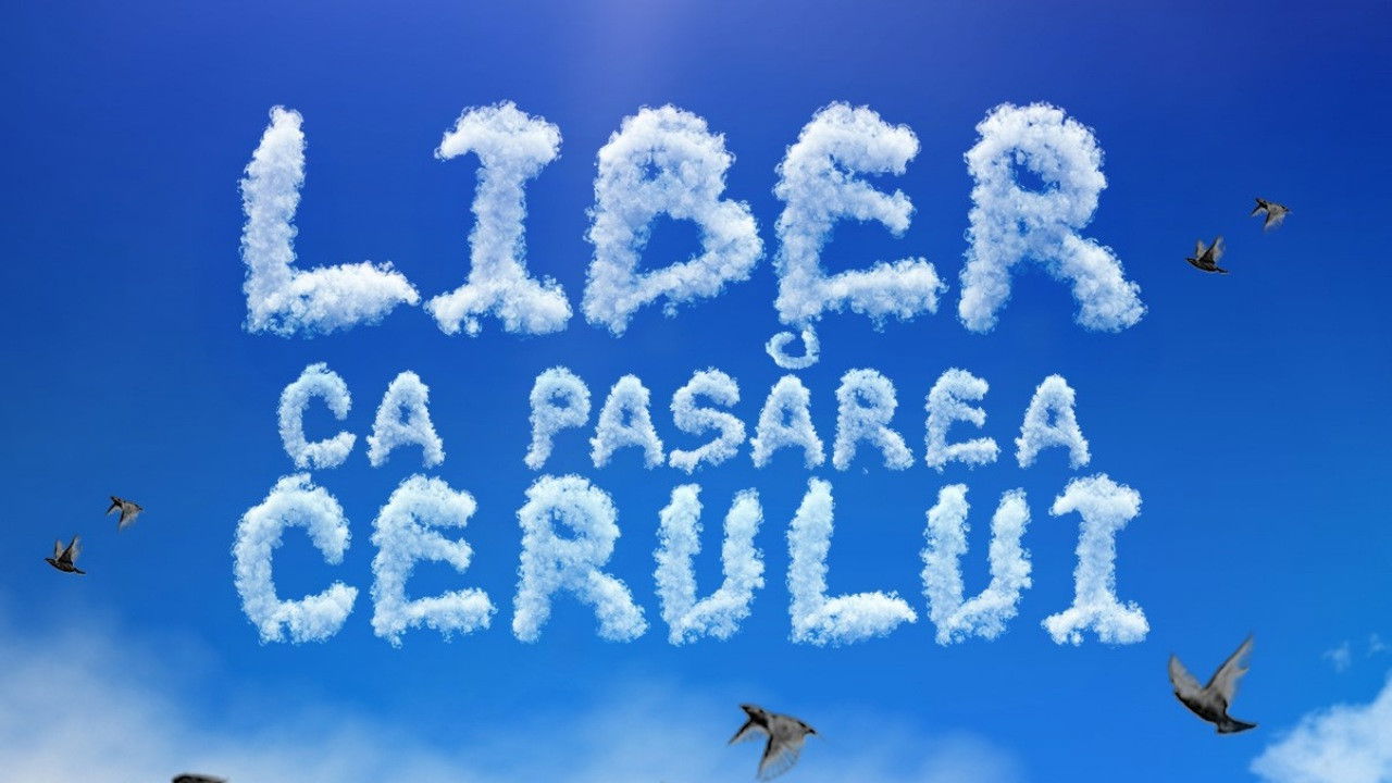 Backdrop for Liber ca pasărea cerului