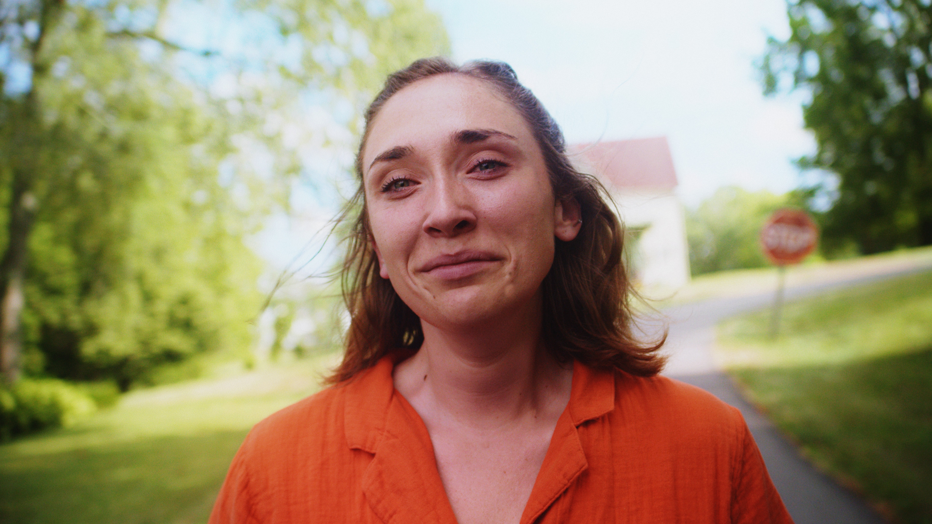 Backdrop for Hallucinations of War