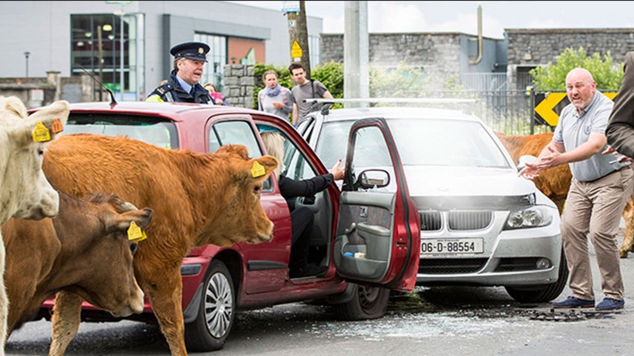 Backdrop for Halal Daddy