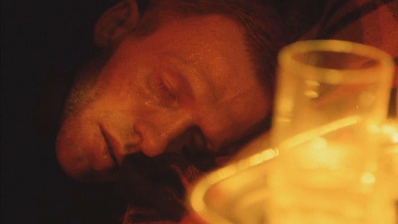 Backdrop for A Visitor to a Museum