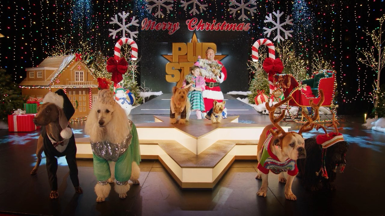Backdrop for Puppy Star Christmas
