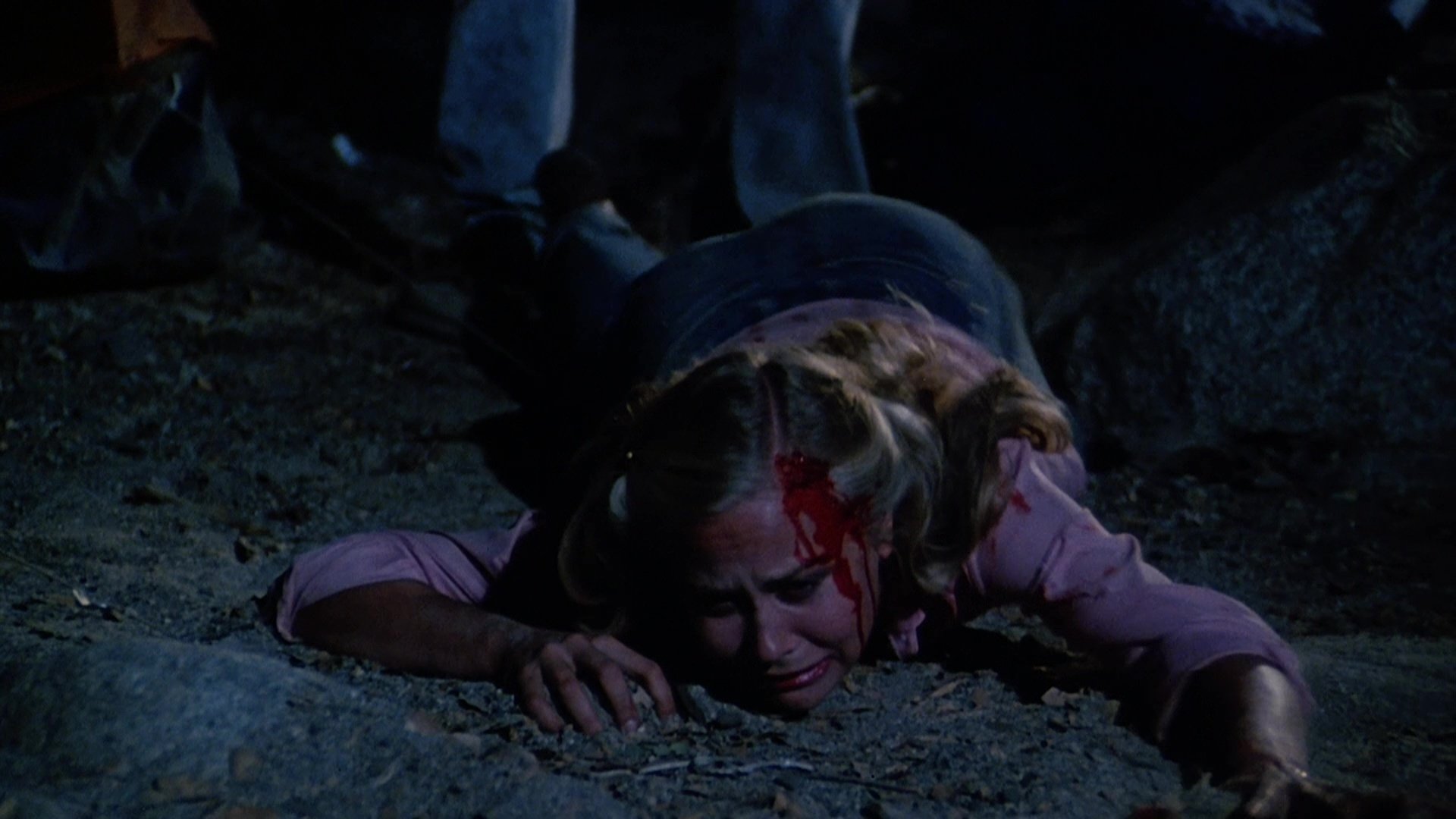 Backdrop for The Forest