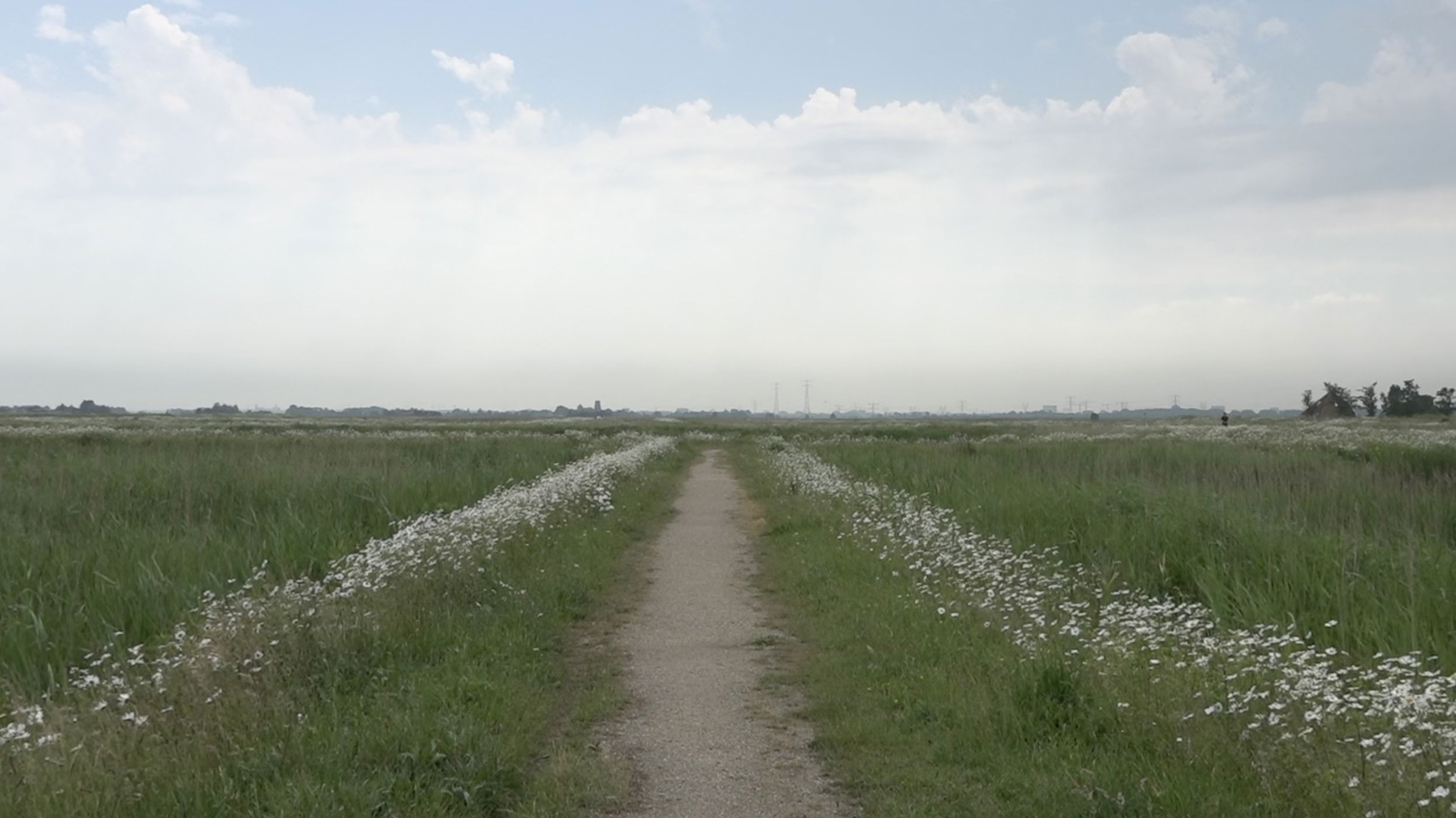 Backdrop for Screaming