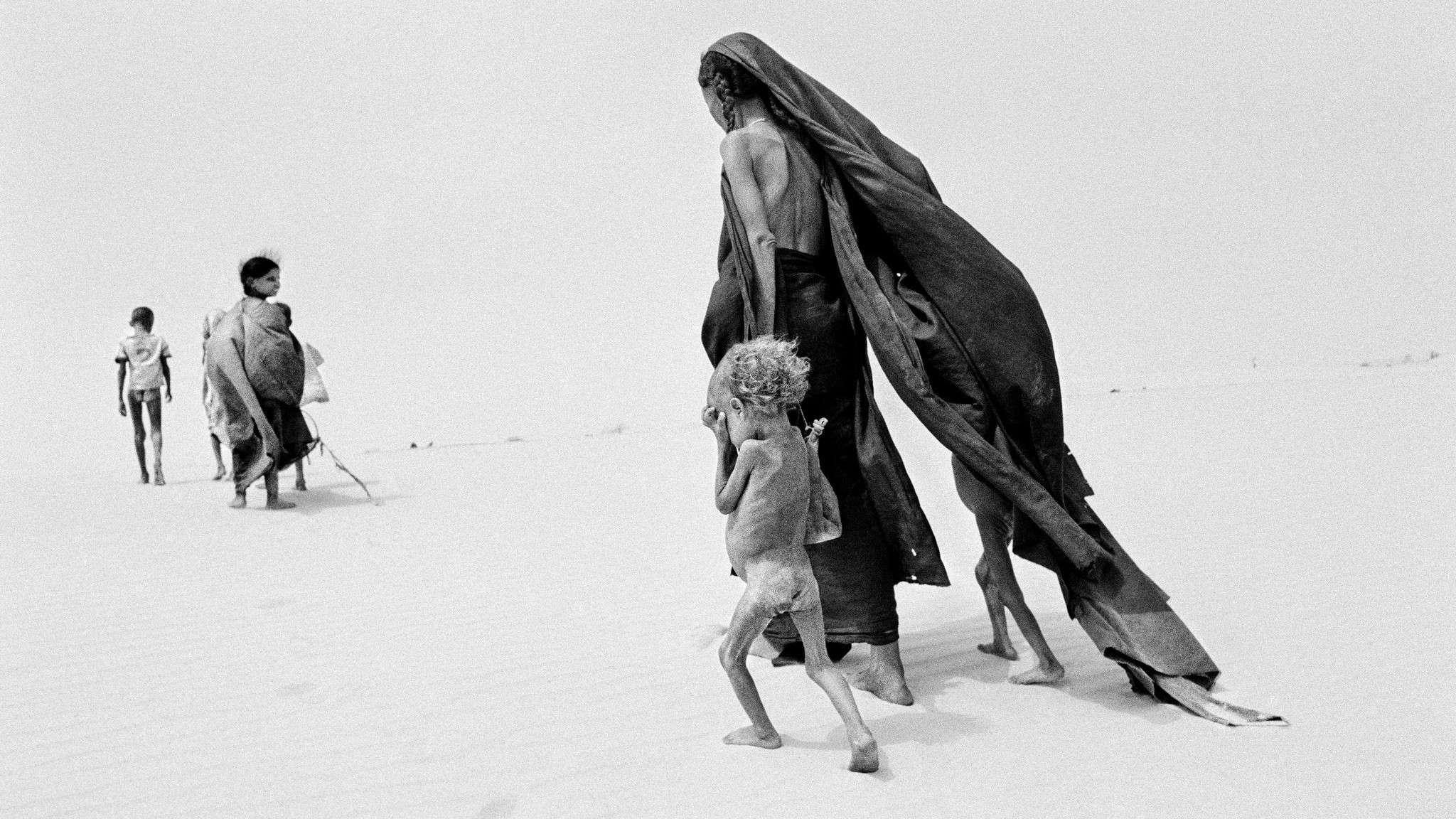 Backdrop for The Salt of the Earth