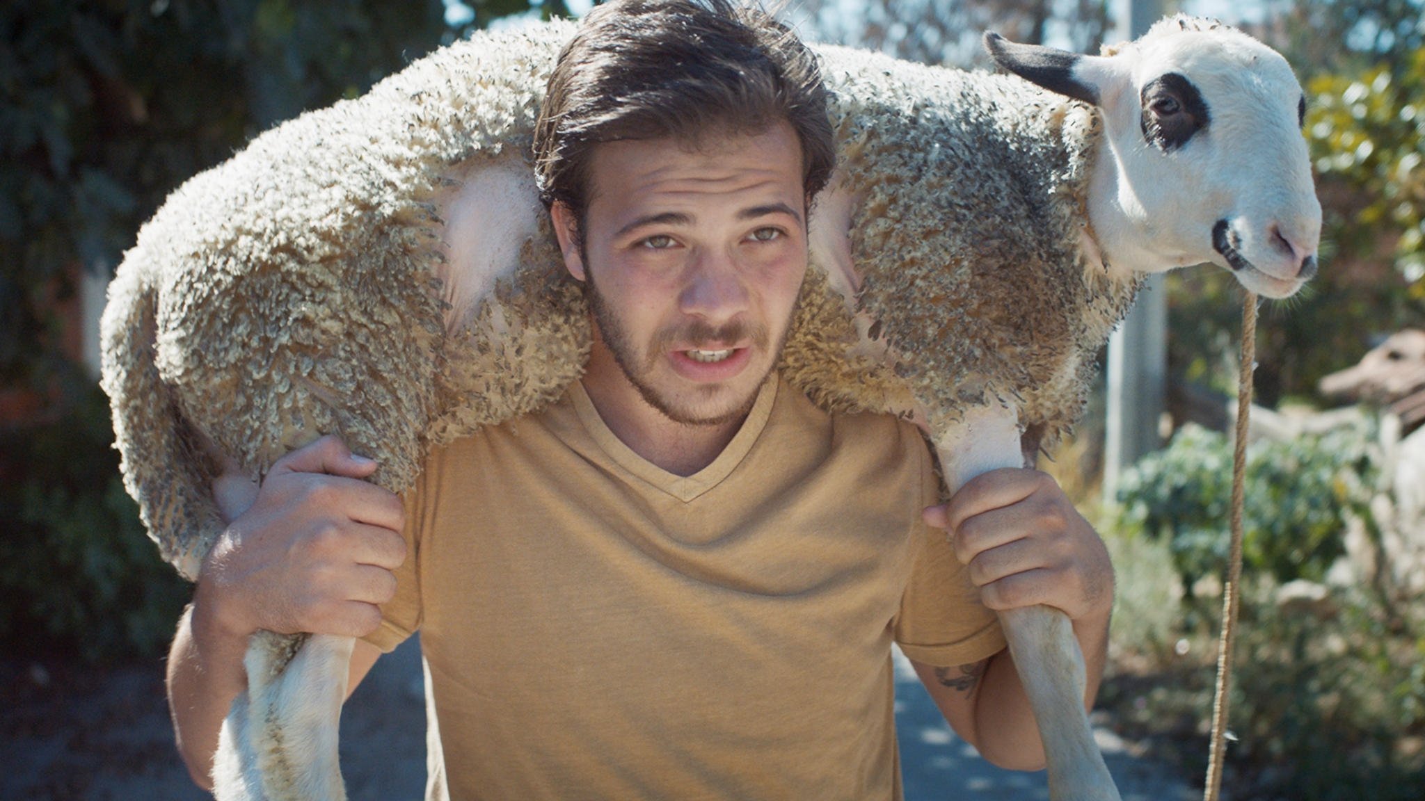Backdrop for Dead Horse Nebula