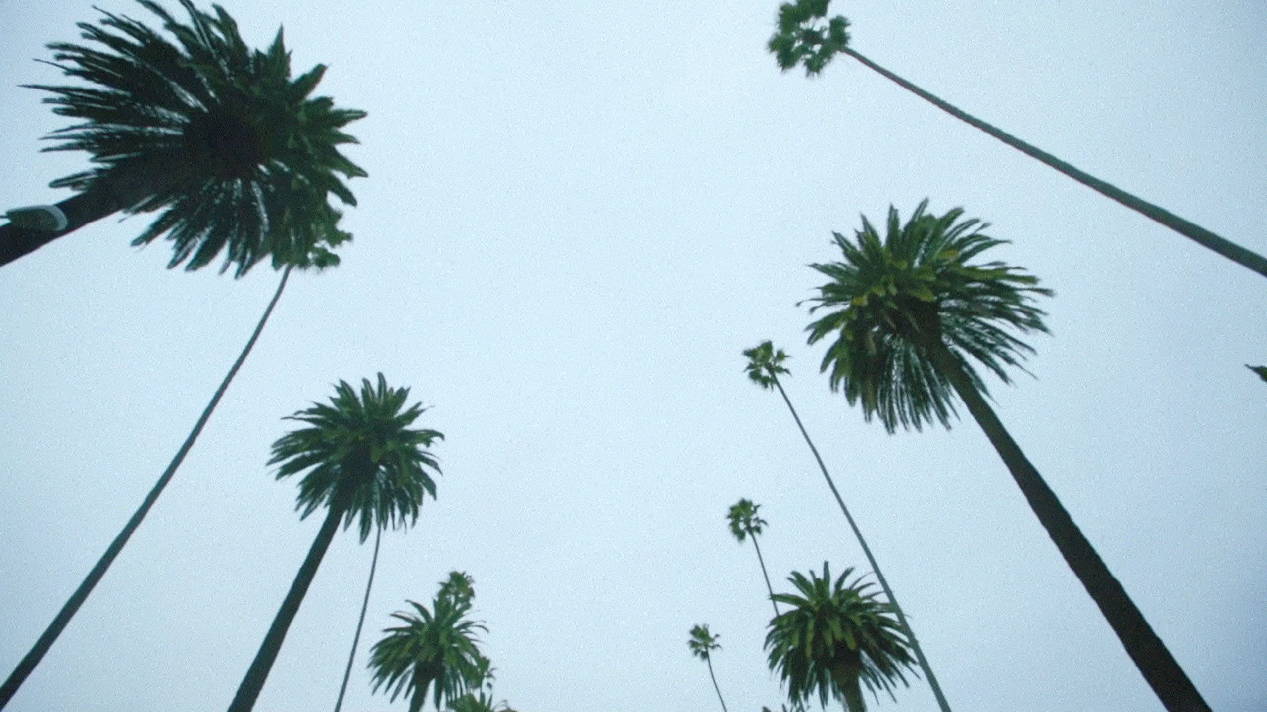 Backdrop for Sleepover LA