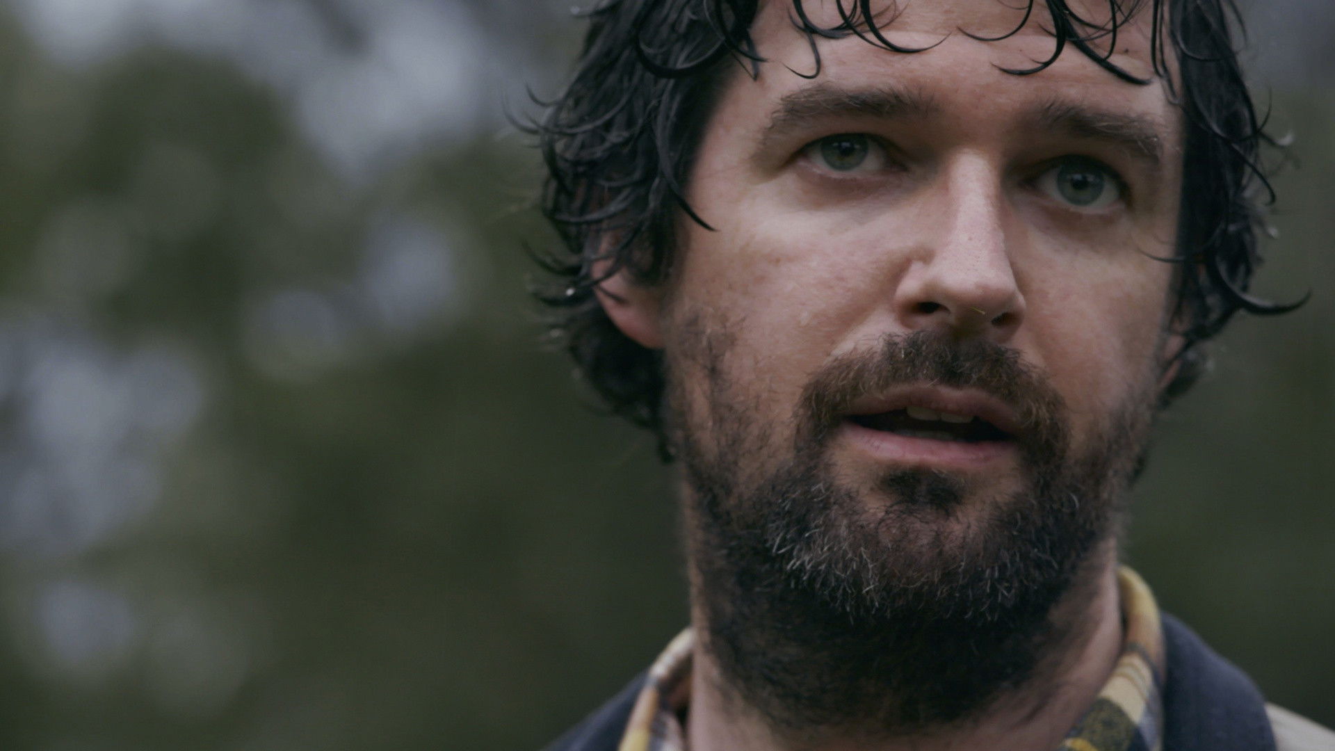 Backdrop for Under the Cover of Cloud