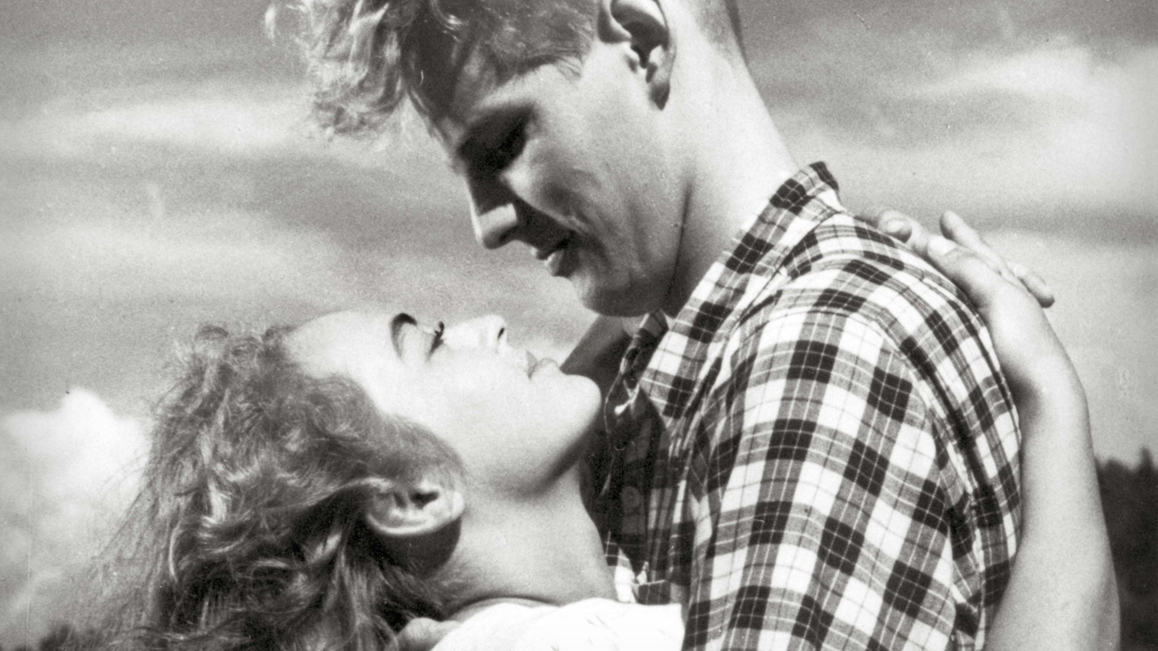 Backdrop for The Milkmaid