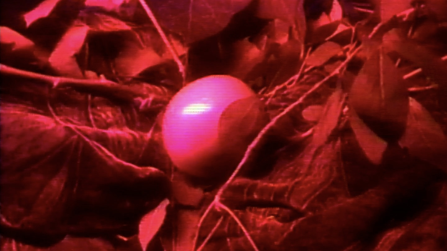 Backdrop for La ventana indiscreta