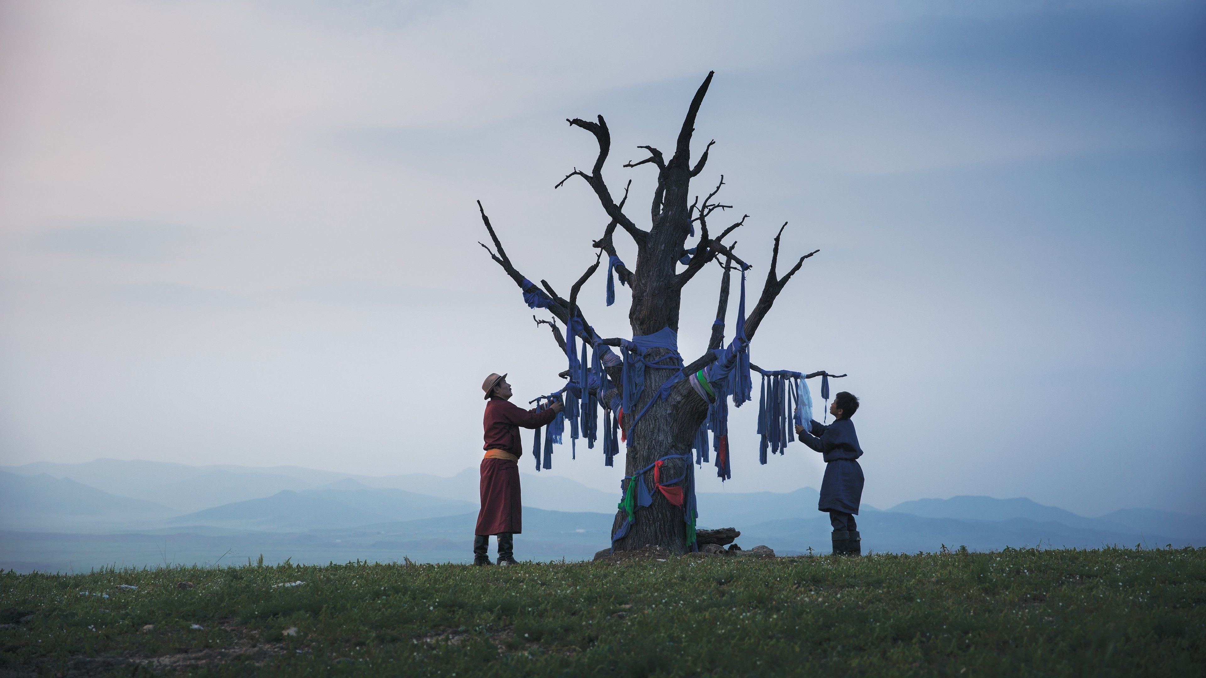 Backdrop for Veins of the World