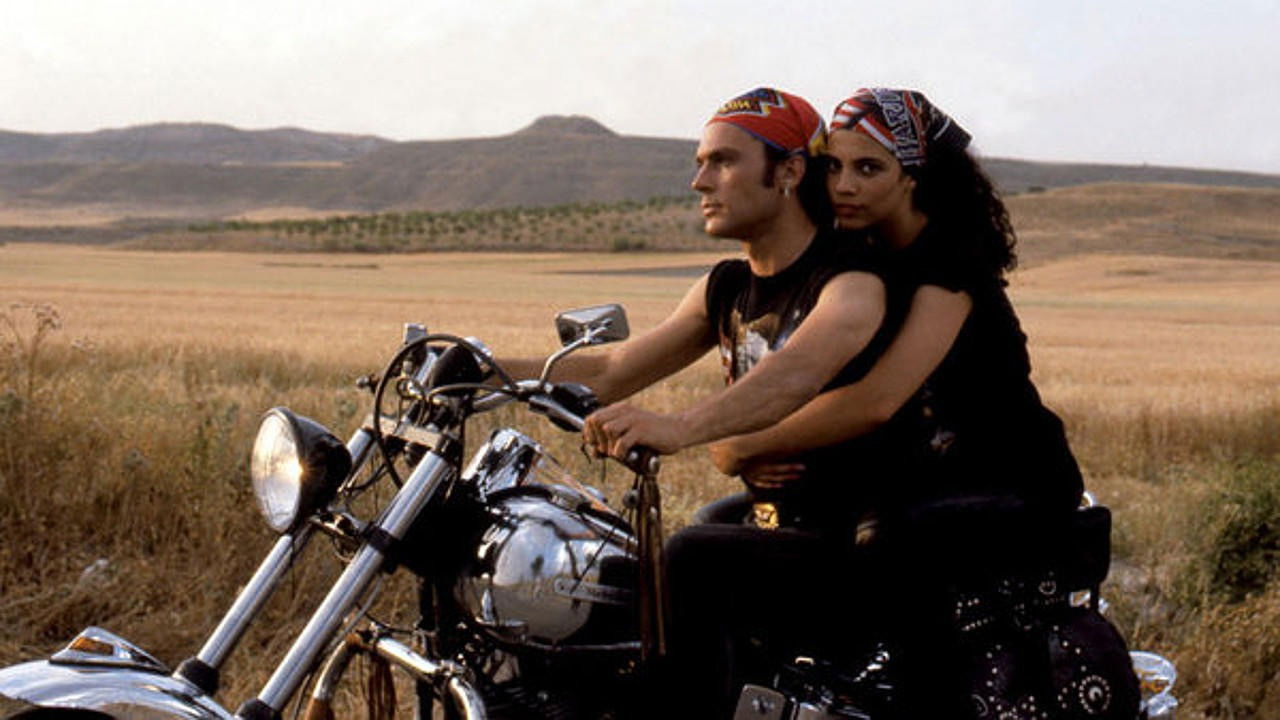 Backdrop for Pink Sauce