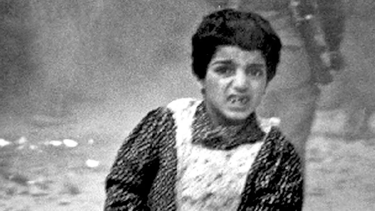 Backdrop for Jerusalem Cuts