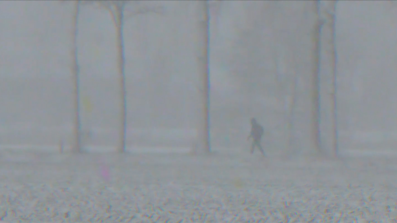 Backdrop for Midwinter Hue