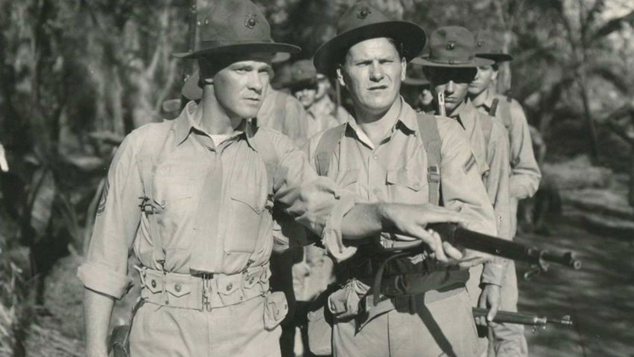 Backdrop for Join the Marines