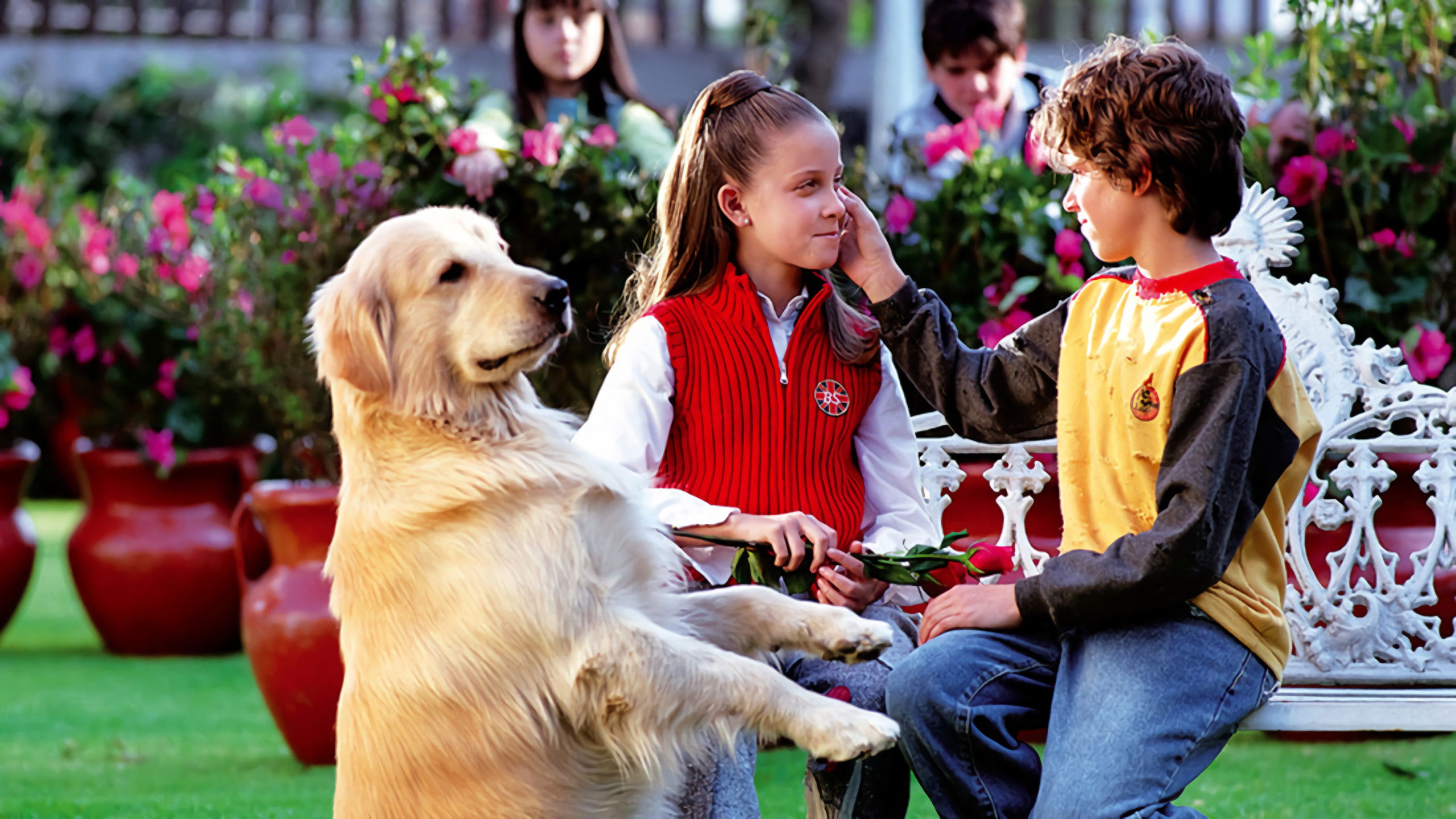 Backdrop for De Pocas Pocas Pulgas