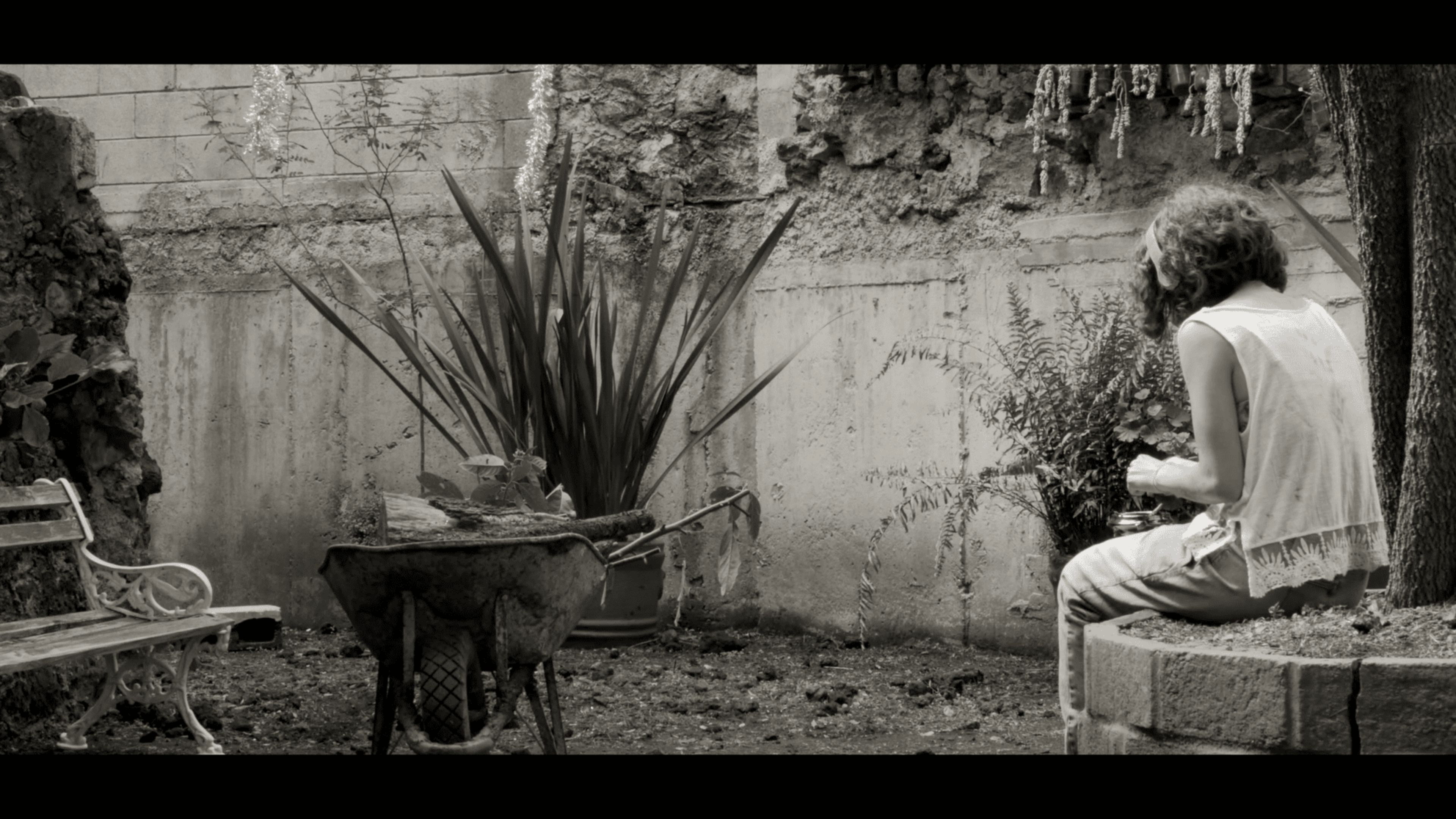 Backdrop for ANORMALES