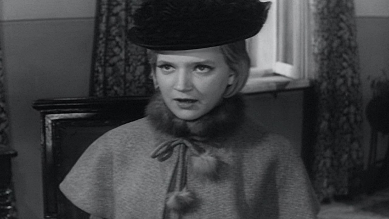 Backdrop for No Password Necessary