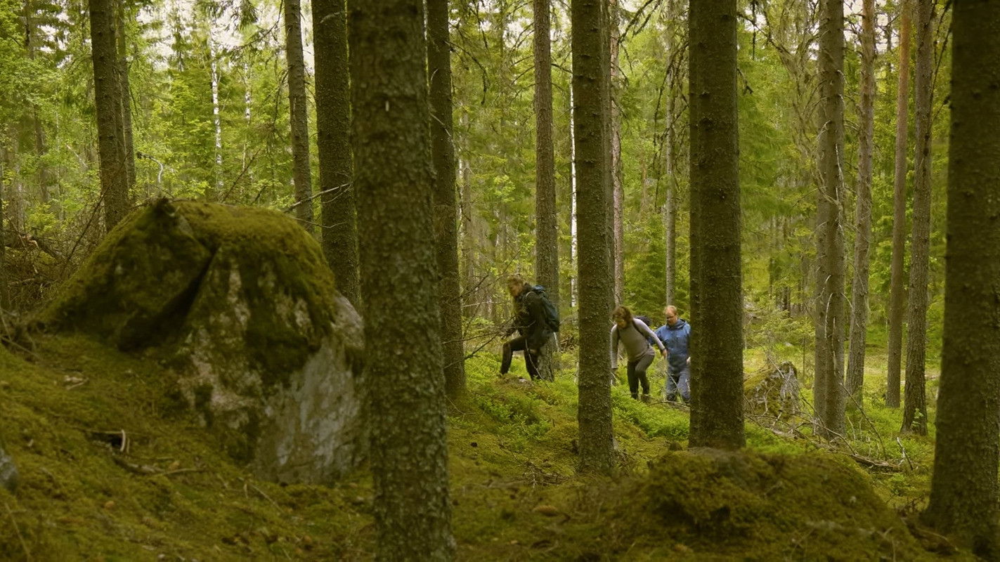 Backdrop for What We Can't See