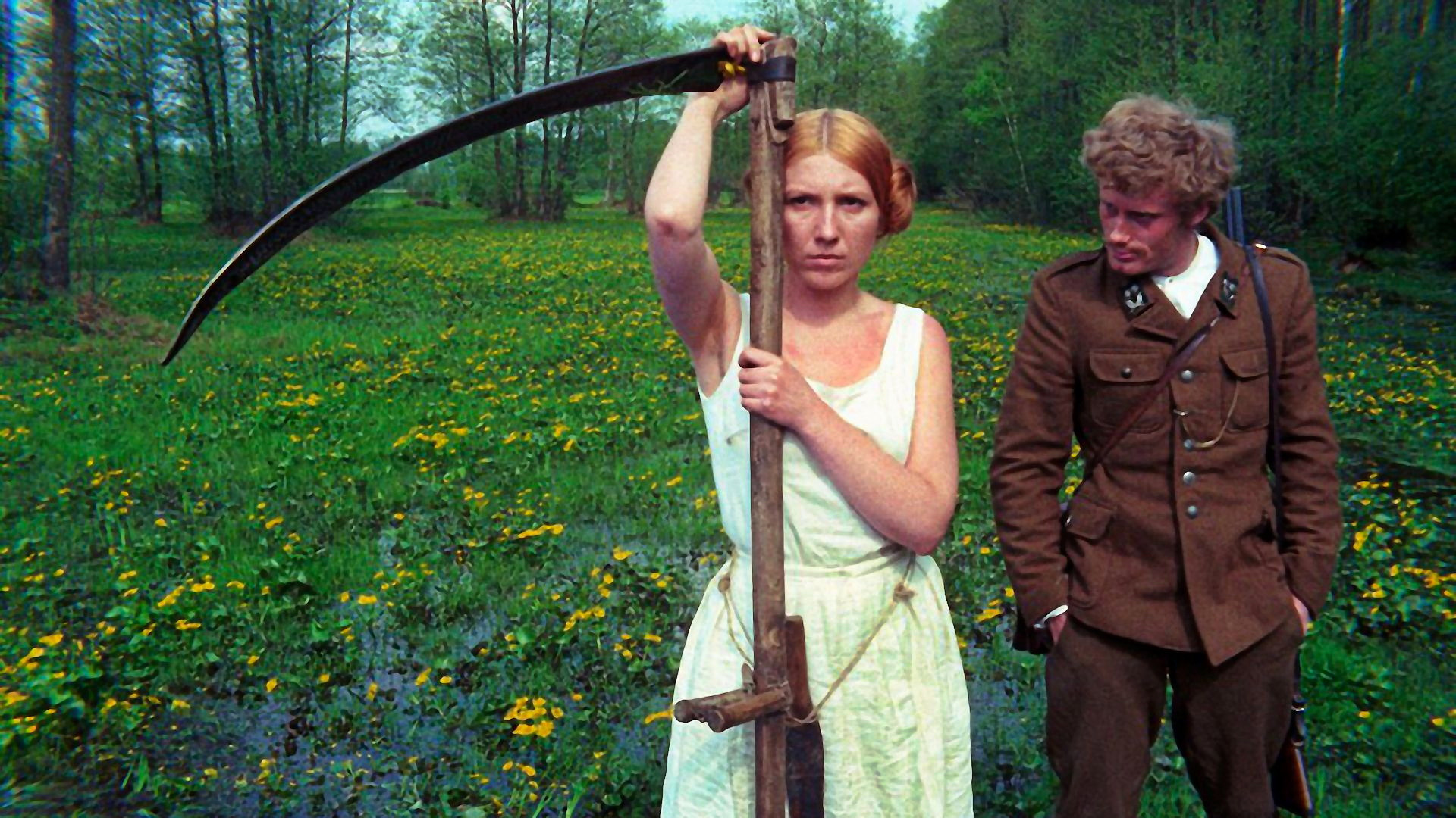 Backdrop for The Birch Wood