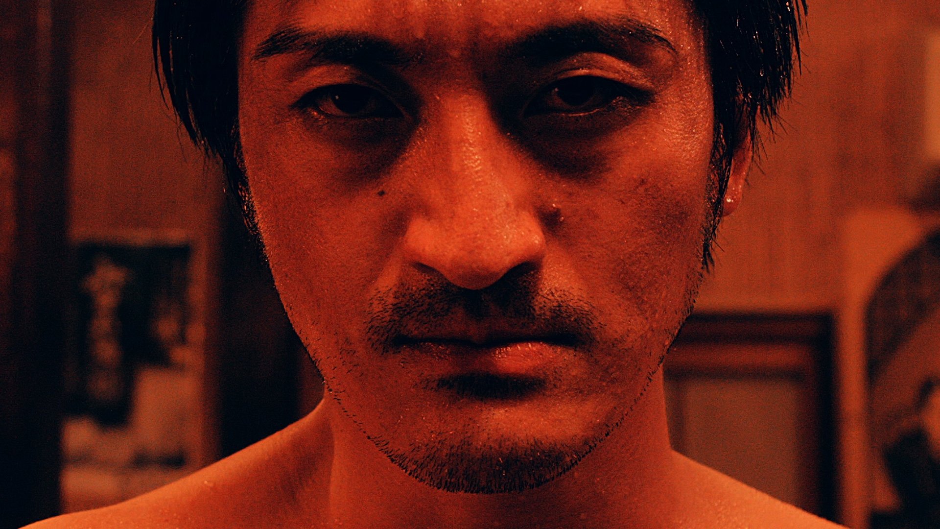 Backdrop for Journey of the Tortoise