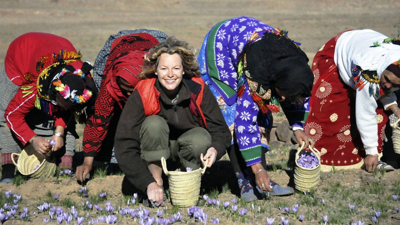 Backdrop for The Spice Trail