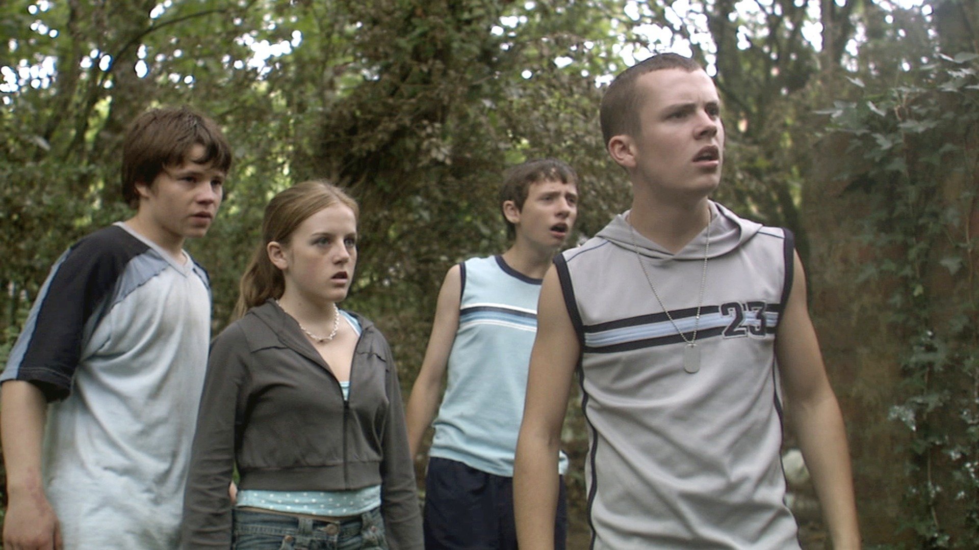 Backdrop for Summer Scars