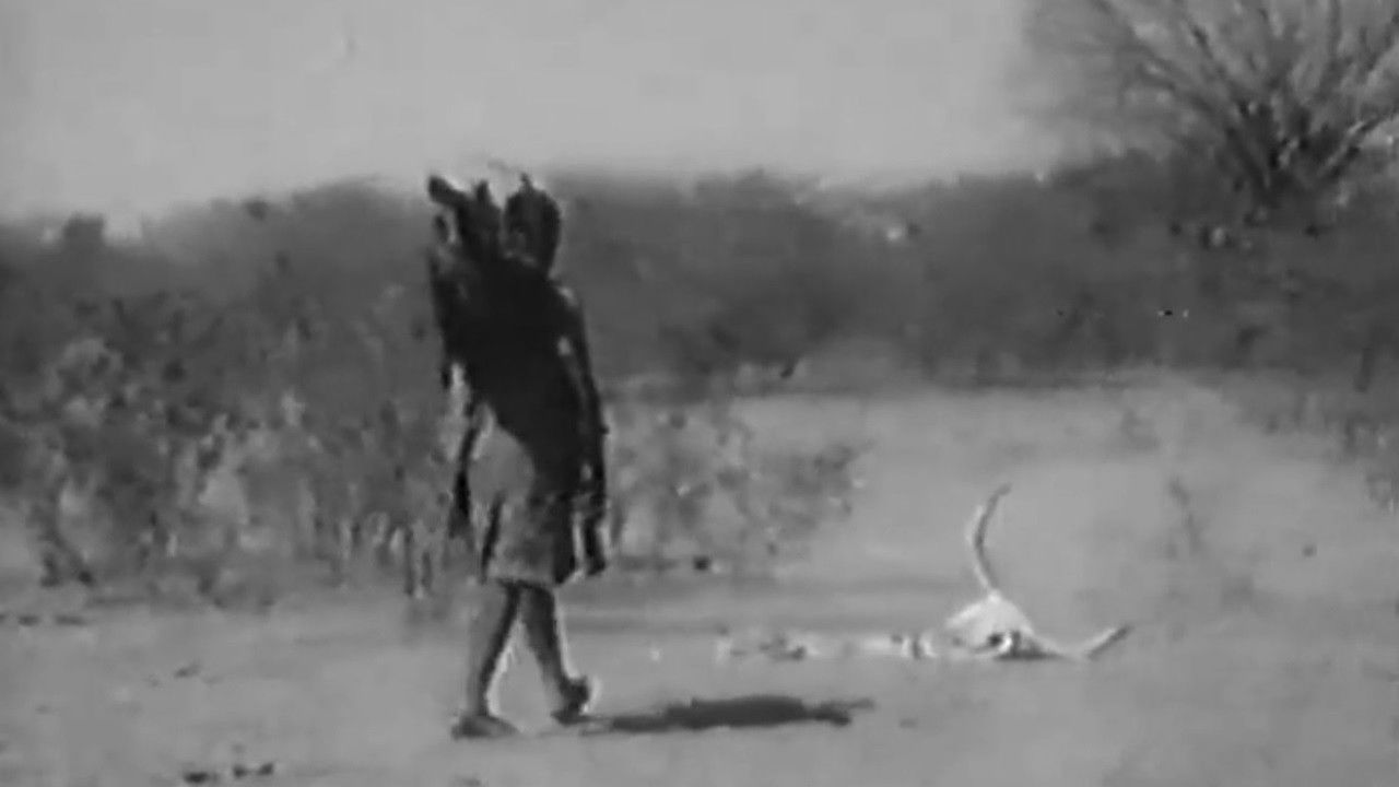 Backdrop for Nelisita