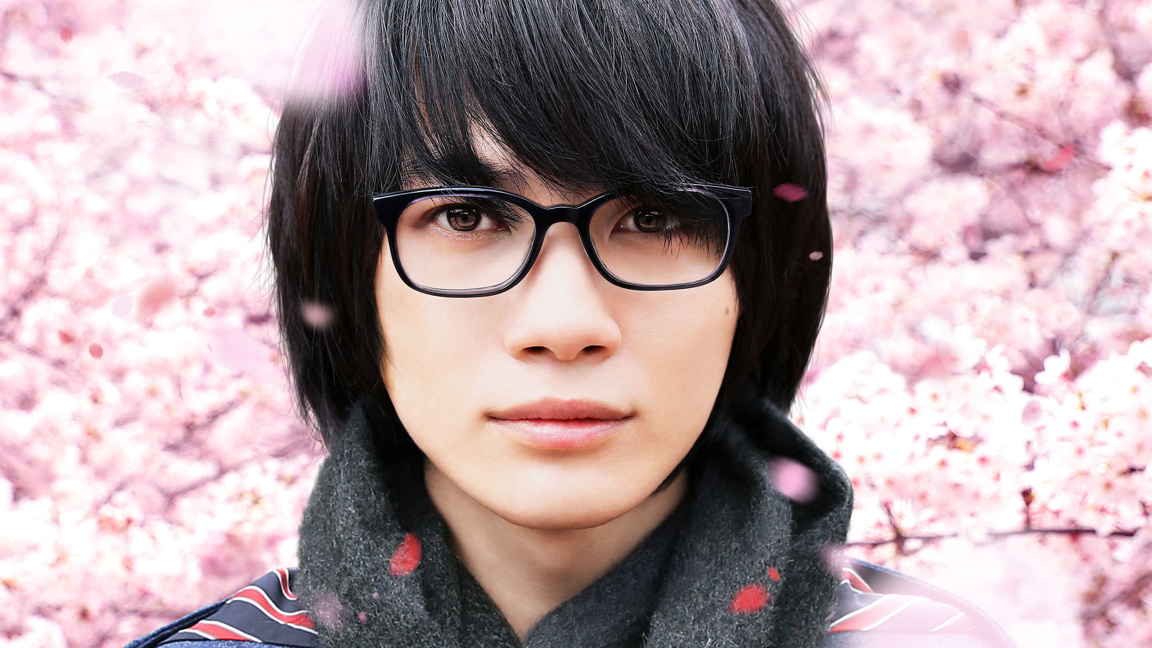 Backdrop for March Comes In Like a Lion