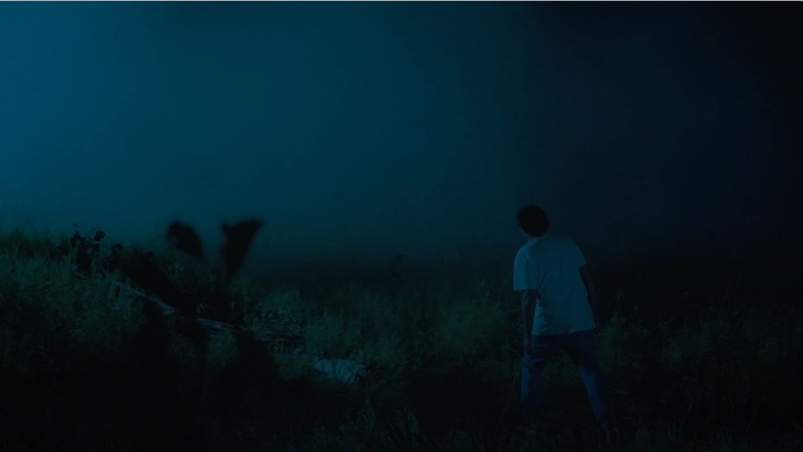 Backdrop for Lono and the Pig