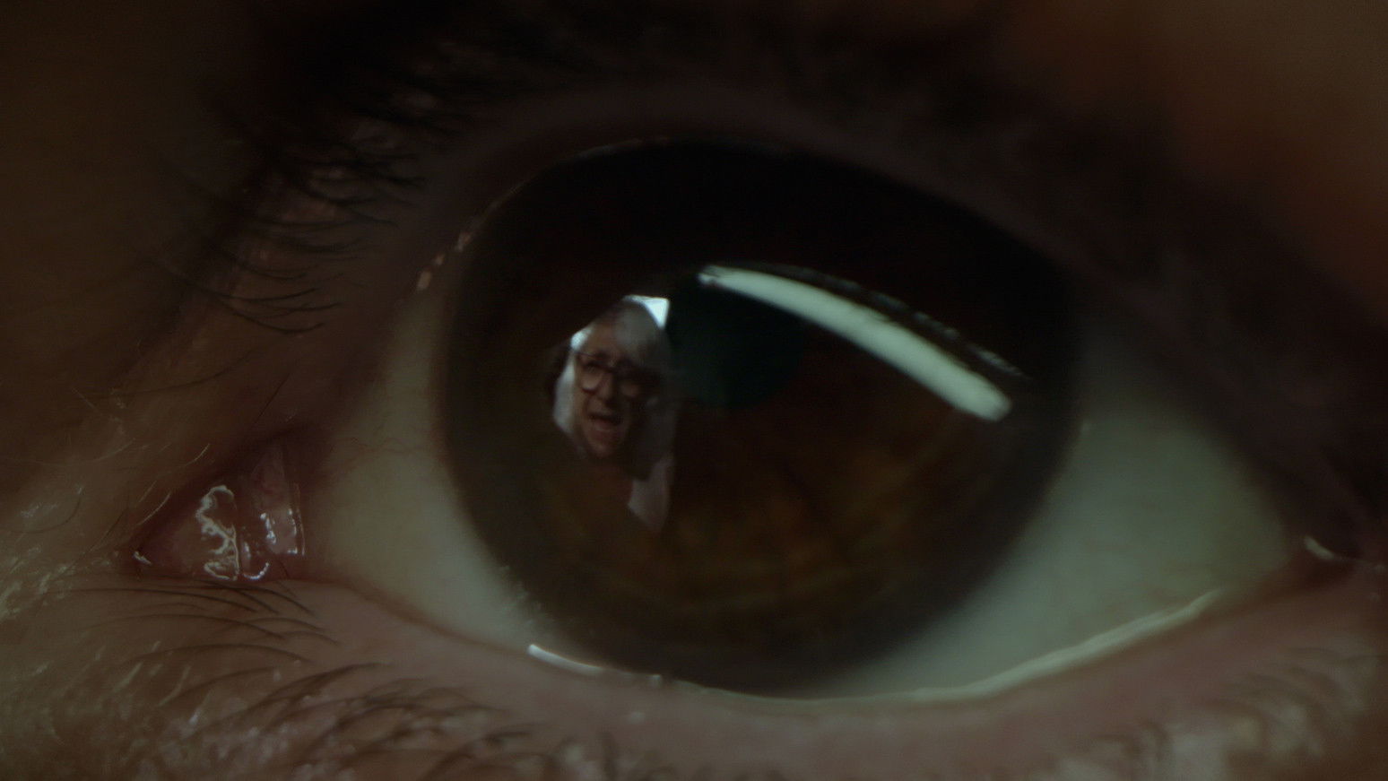 Backdrop for Vitality