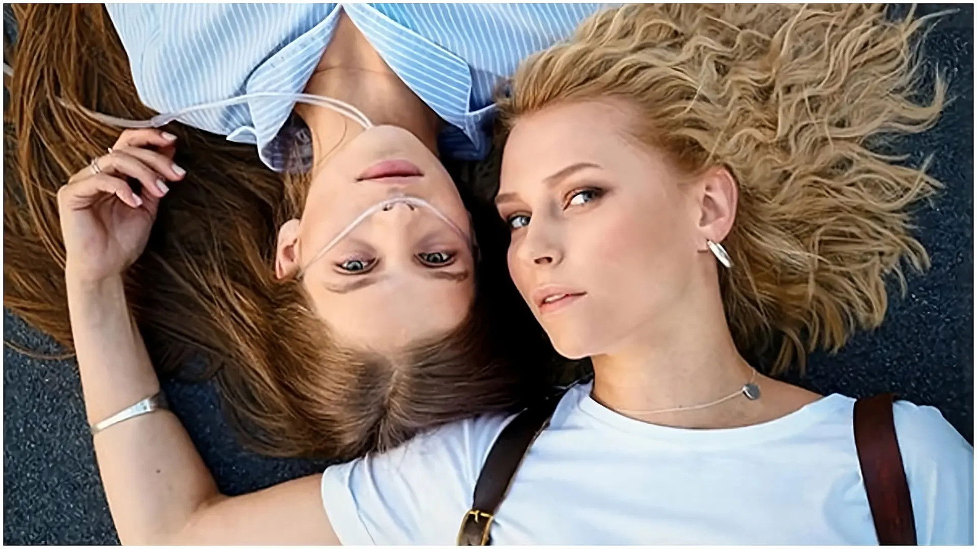 Backdrop for The Companion