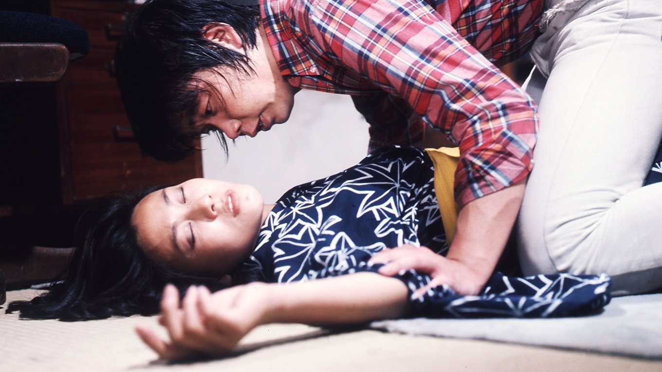 Backdrop for Late Bloom: Campus Erotica