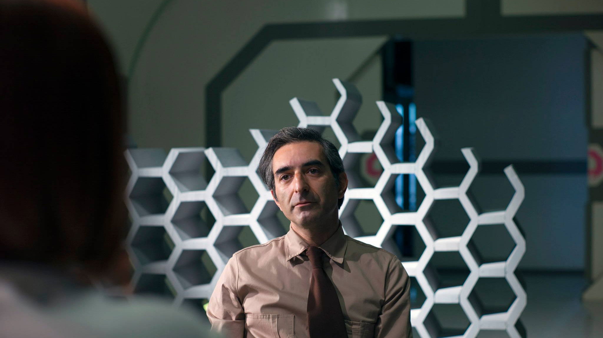 Backdrop for Organic Sleep