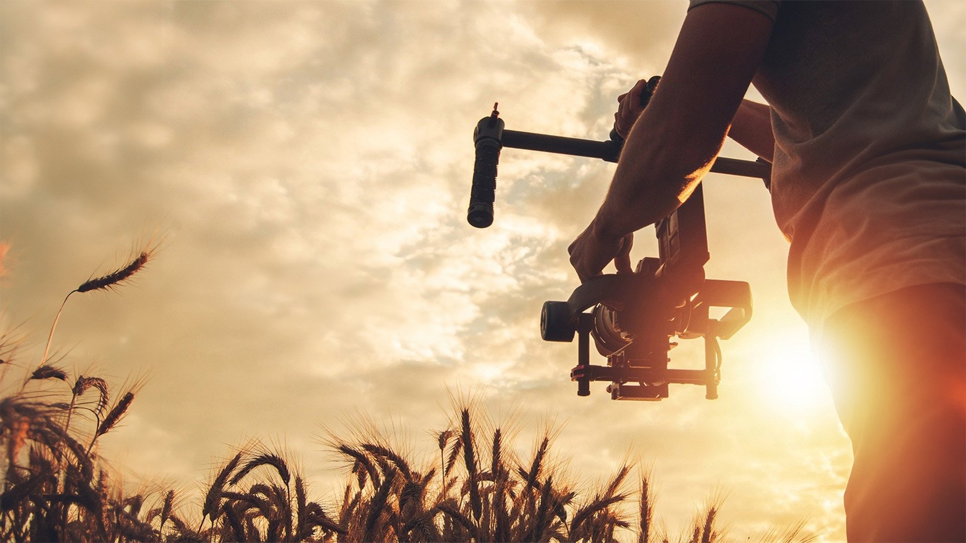 Backdrop for Icons Unearthed: Tom Cruise