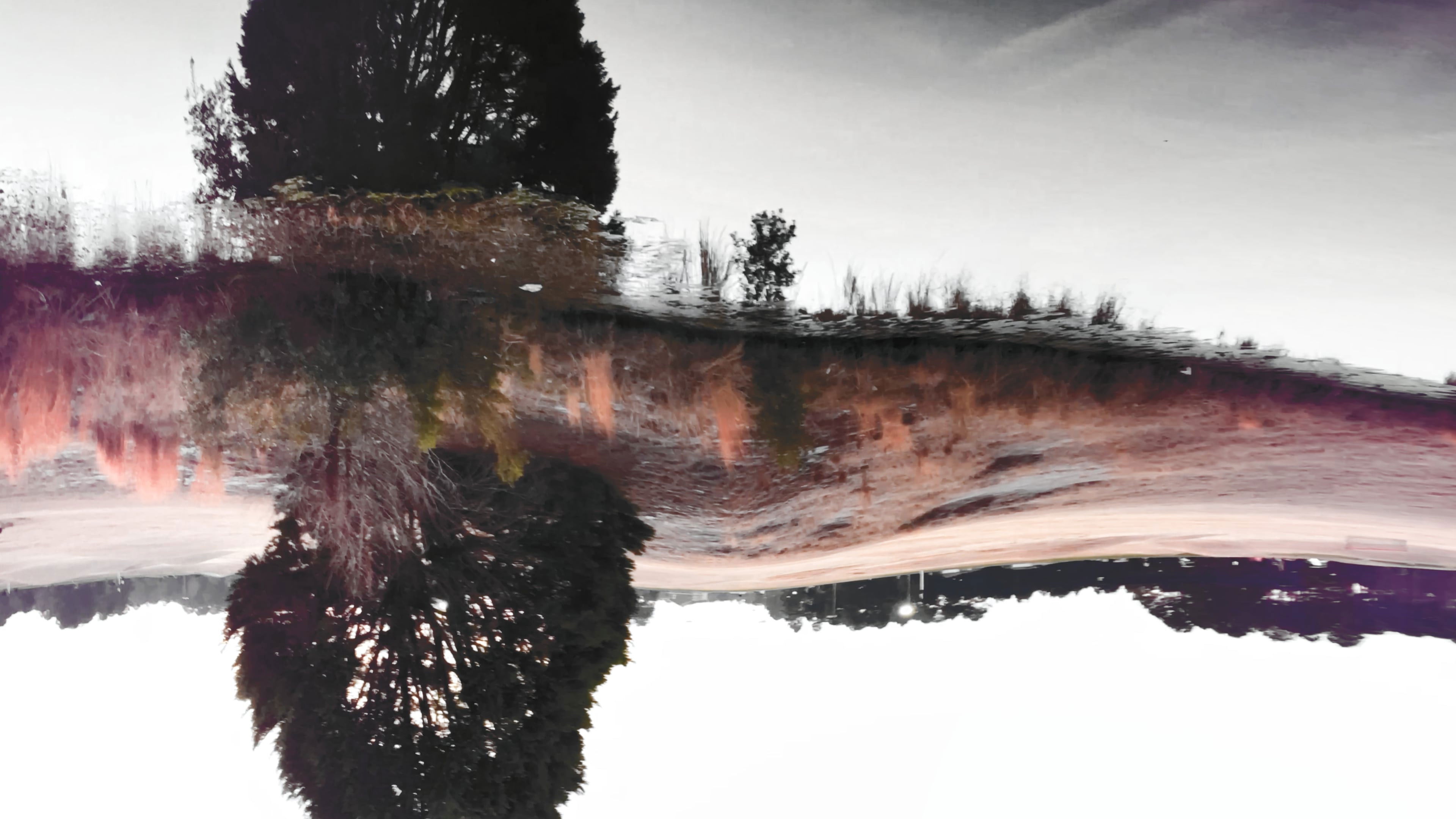 Backdrop for Essences of a Treader