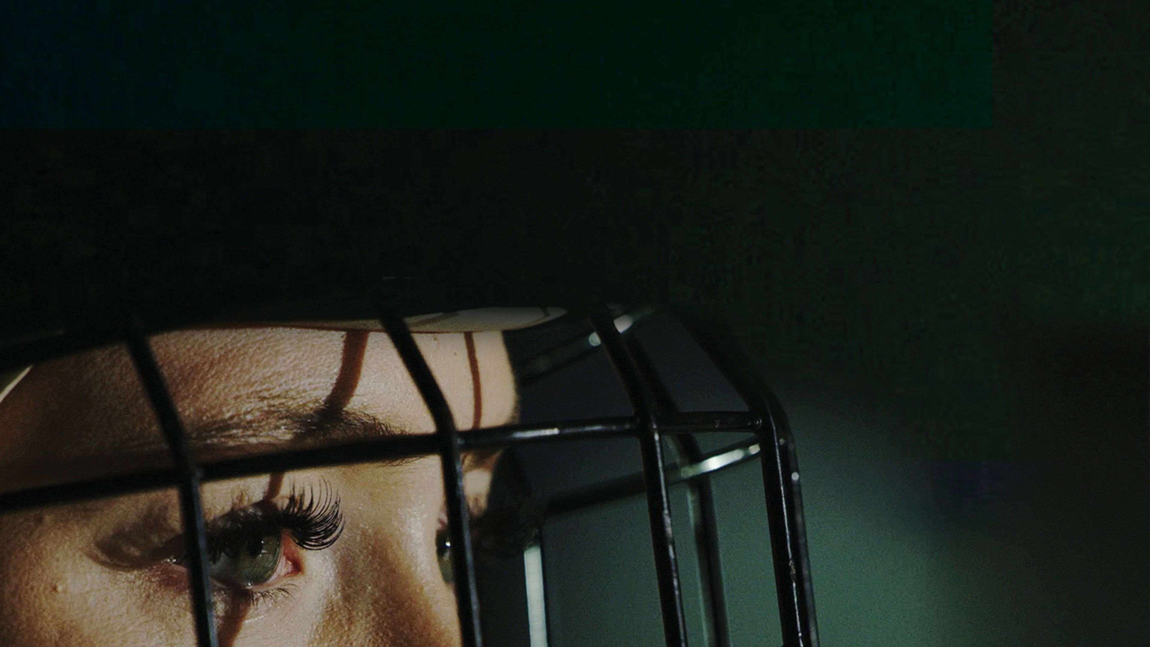 Backdrop for Take the Ice