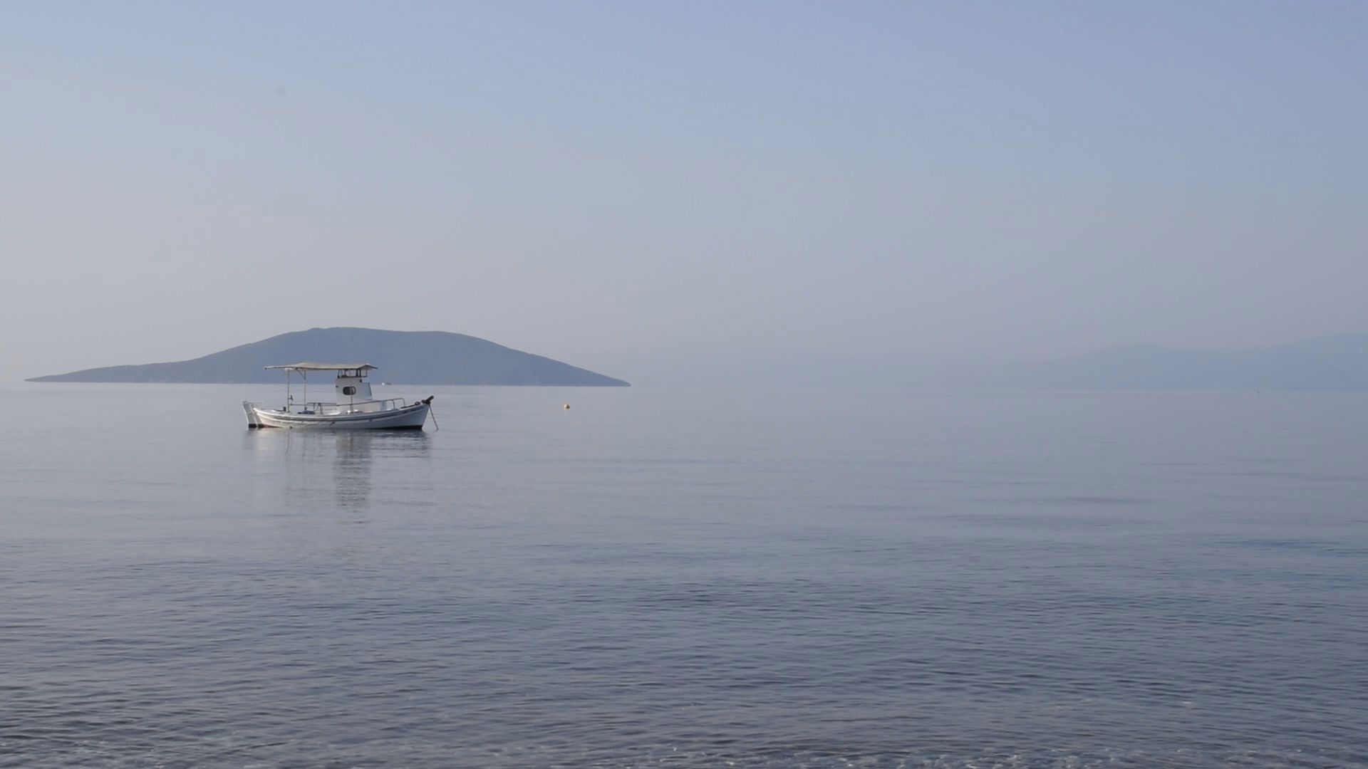 Backdrop for 84 Days of Summer