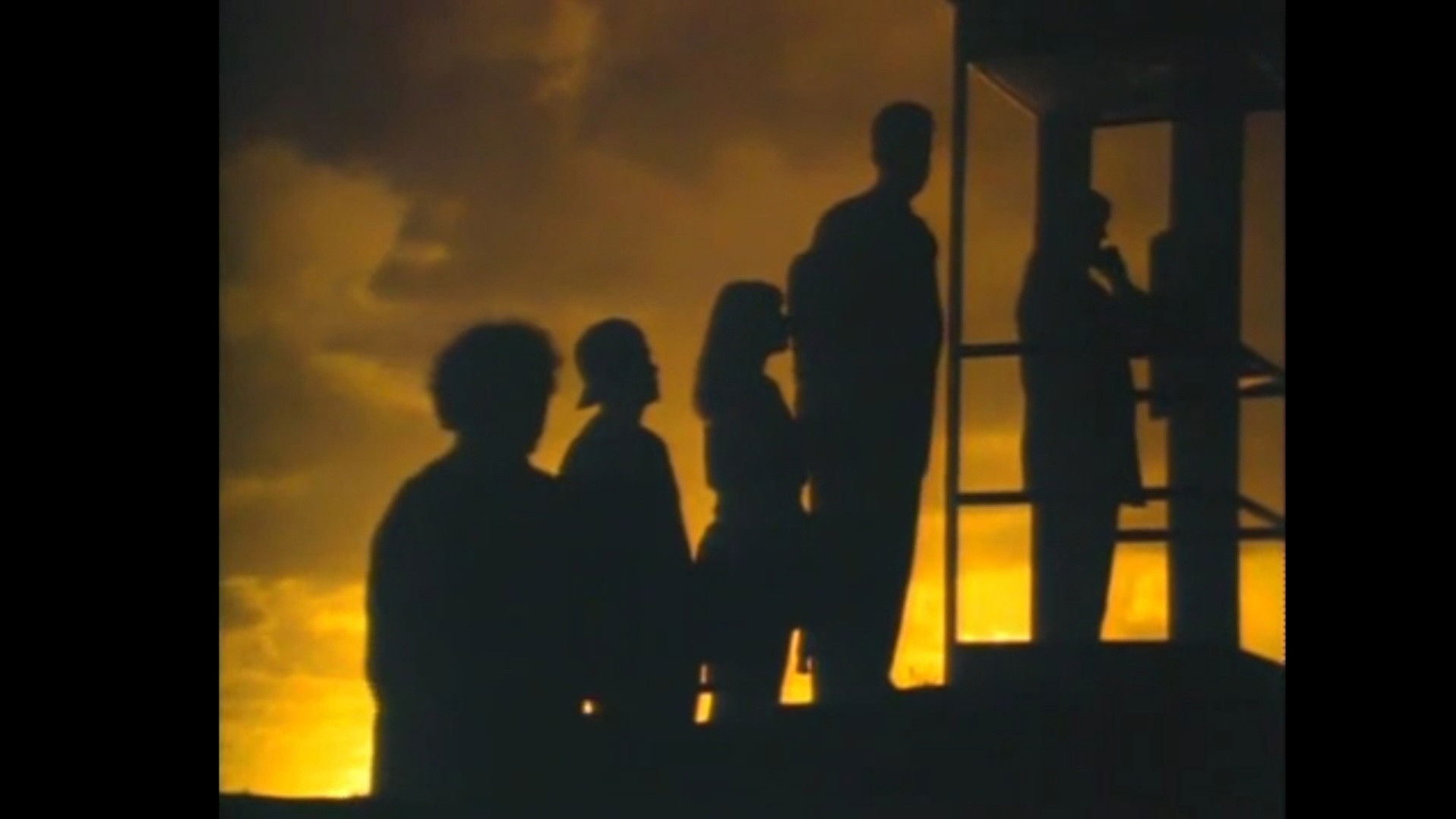 Backdrop for Mr. Petrified Forrest