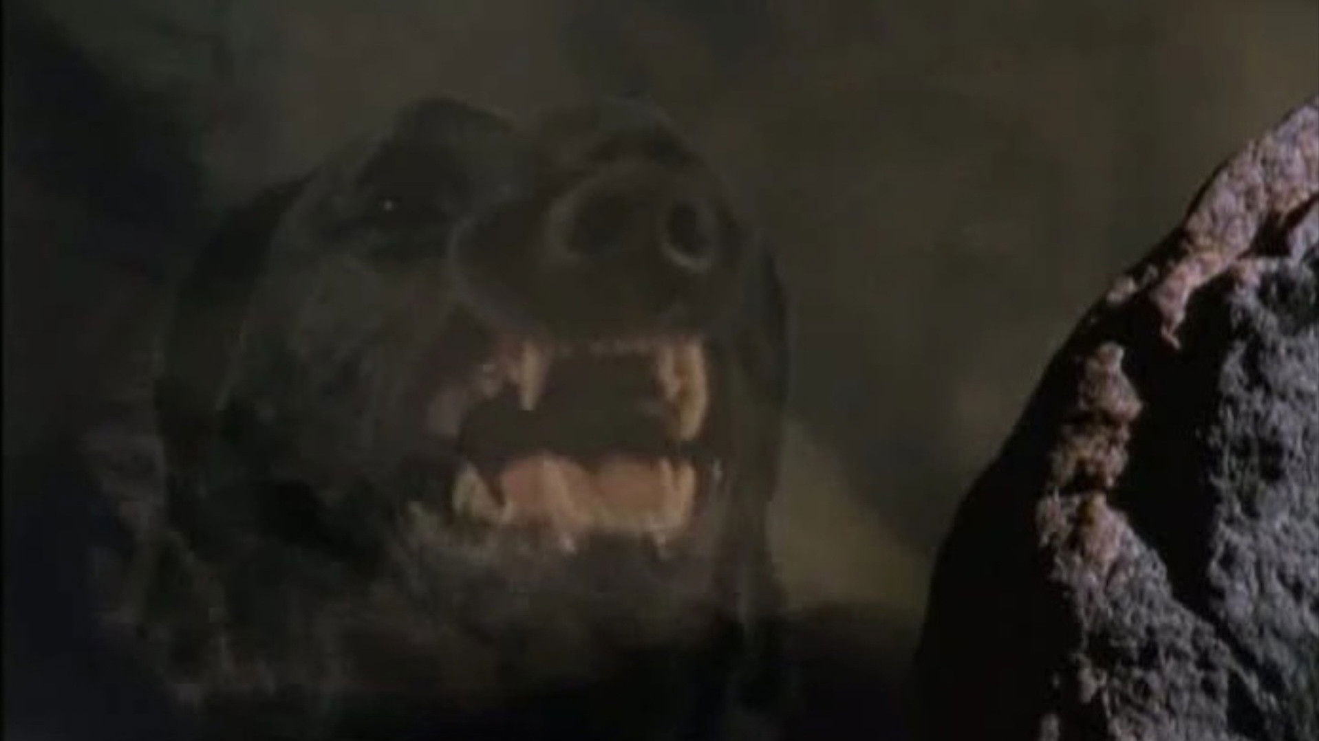 Backdrop for Goosebumps: The Barking Ghost