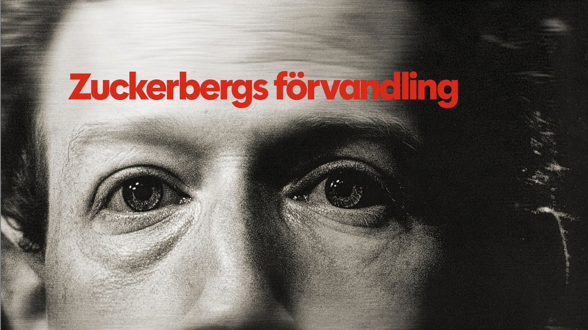 Backdrop for Zuckerberg, From Geek to Guru