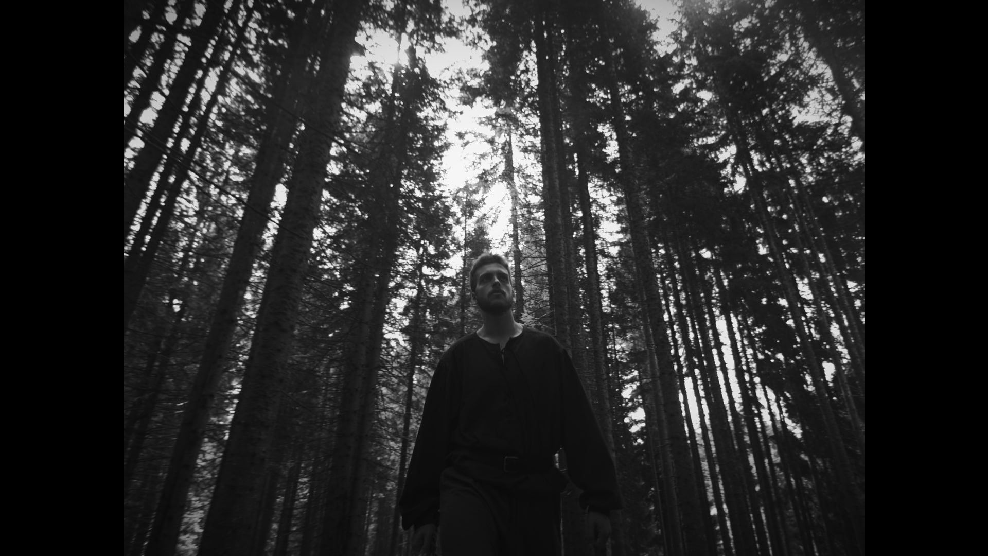 Backdrop for A King's Fortune