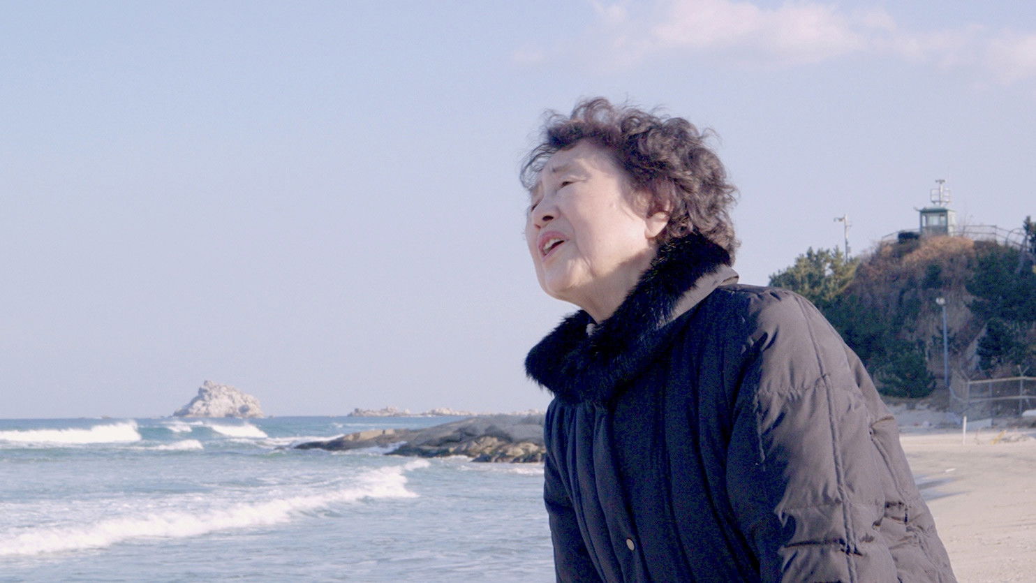 Backdrop for Forbidden Fatherland