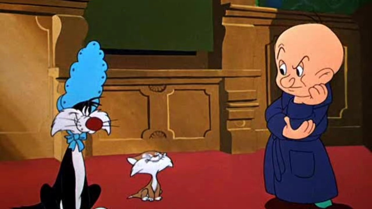 Backdrop for Kit for Cat