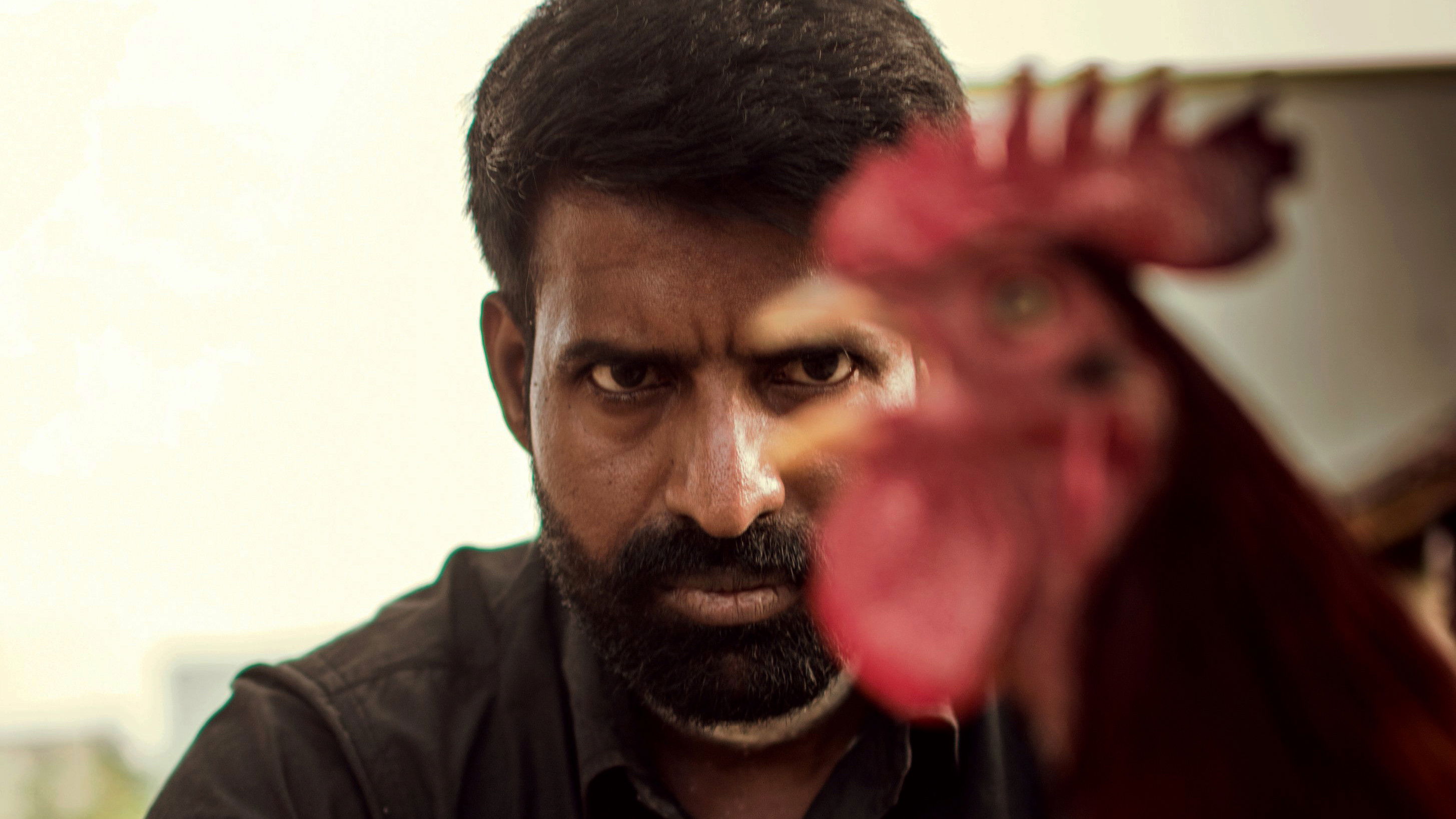 Backdrop for The Adamant Girl