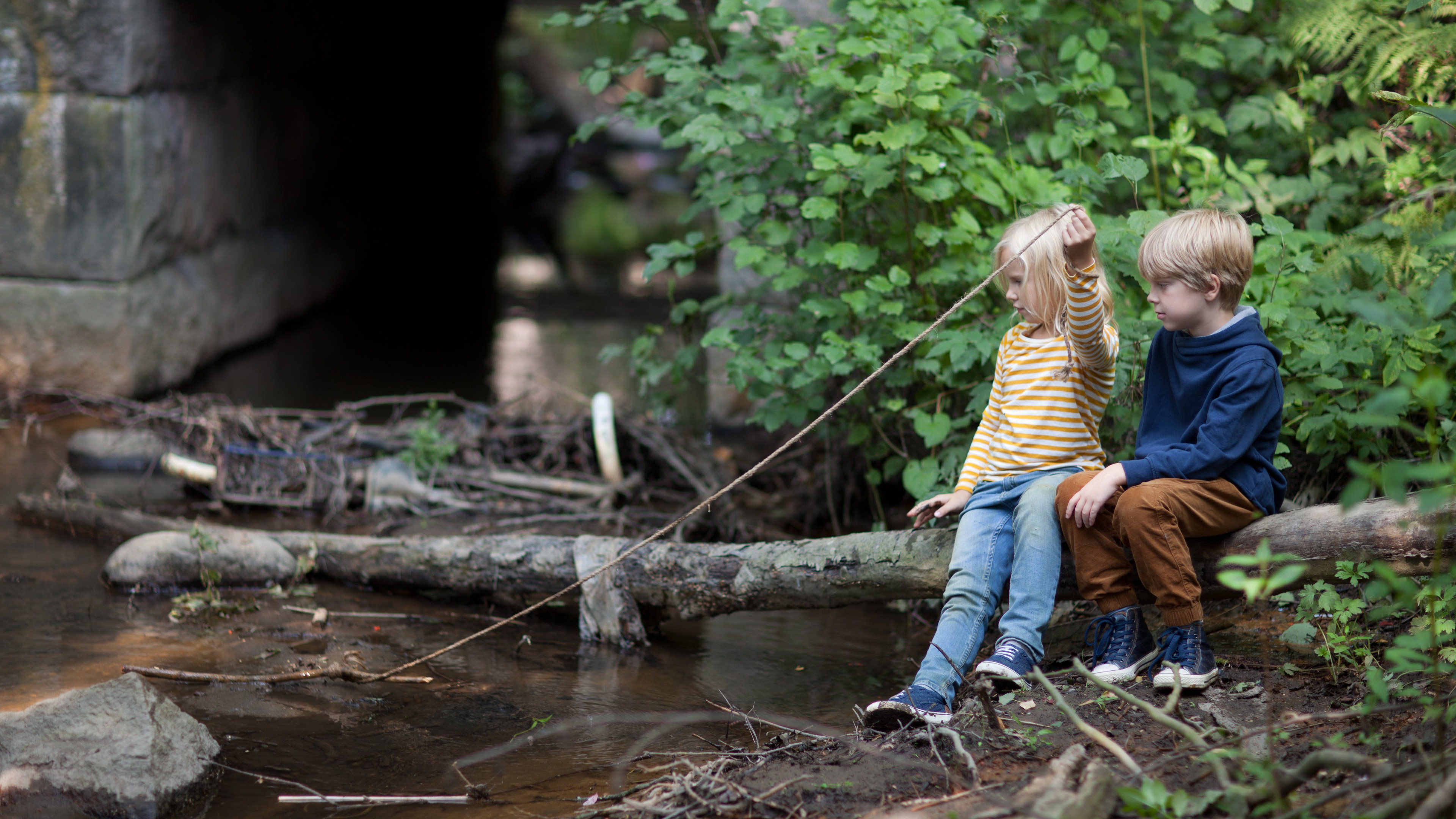 Backdrop for The Stick