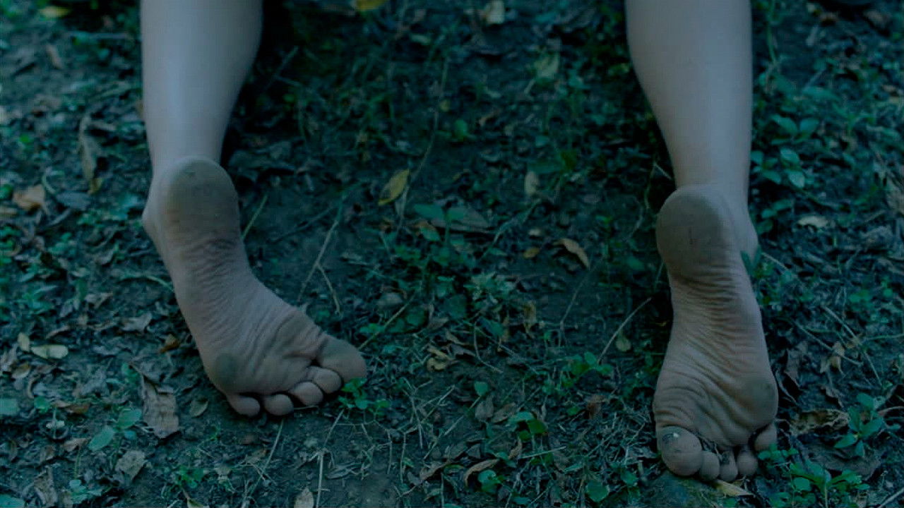 Backdrop for Corpúsculo