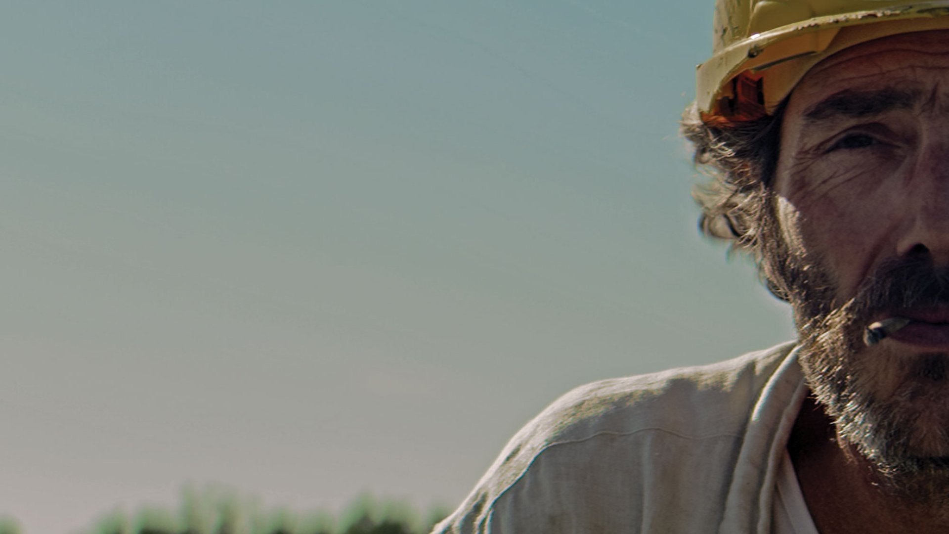 Backdrop for Happy Birthday